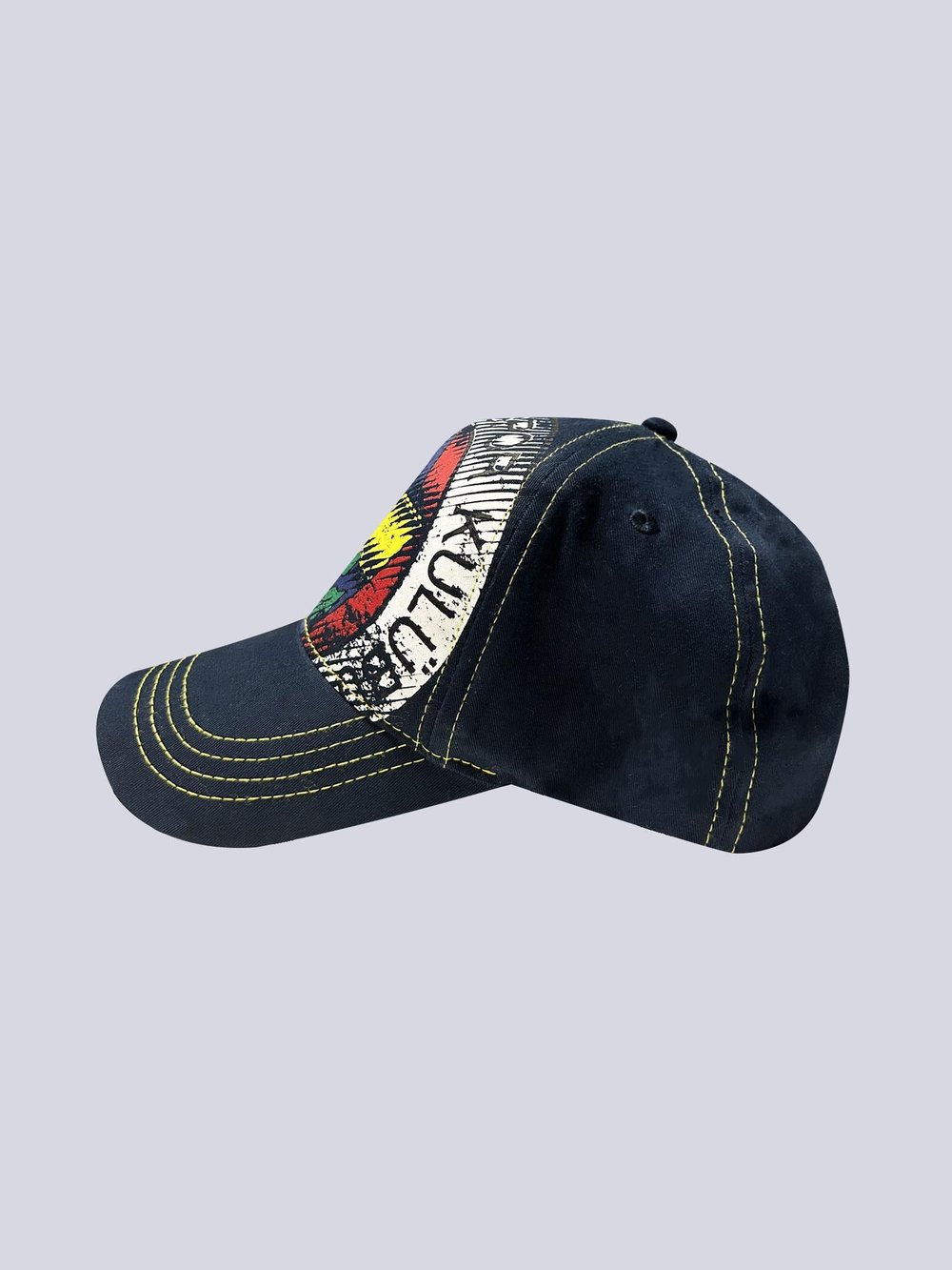 Fenerbahçe 6 Renk Brush Logolu Unisex Şapka