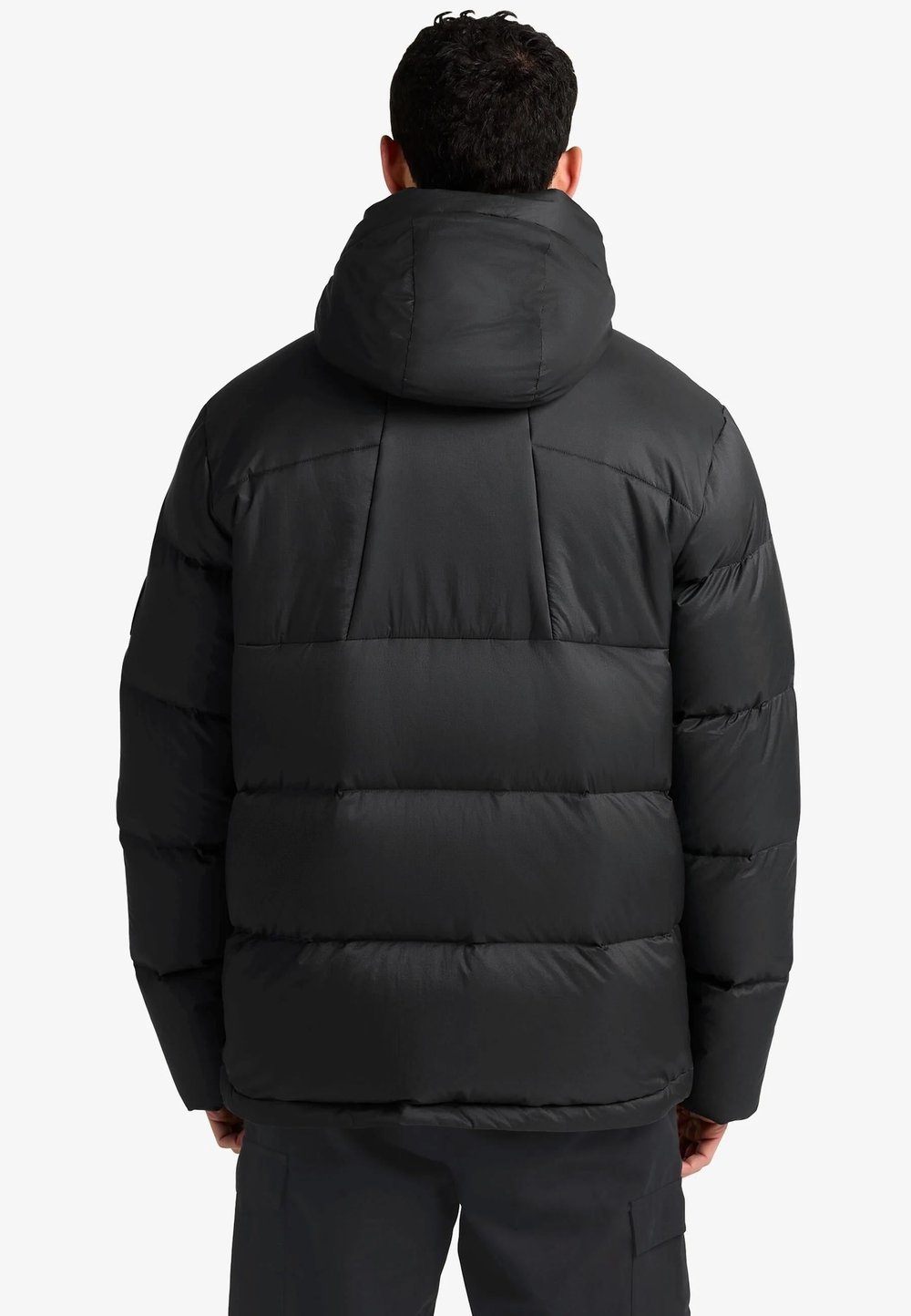 Jack Wolfskin Icy Hıll Jkt M Rds Erkek Mont A65291