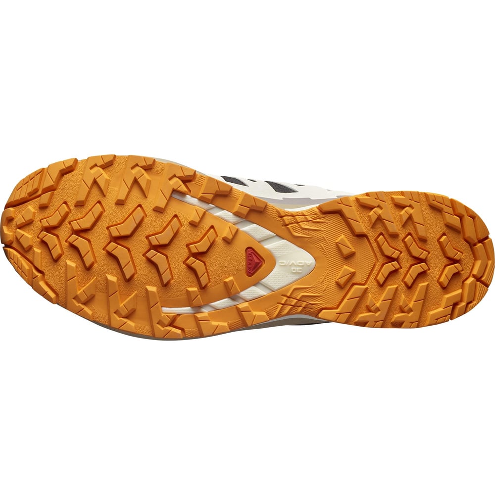 Salomon Xa Pro 3D V9 Gore-Tex Erkek Outdoor Ayakkabısı L47881900