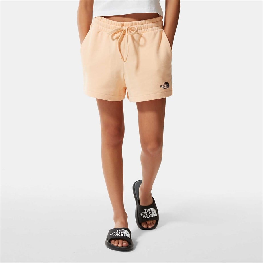 The North Face W Logowear Short Kadın Şort NF0A7QZX3R81