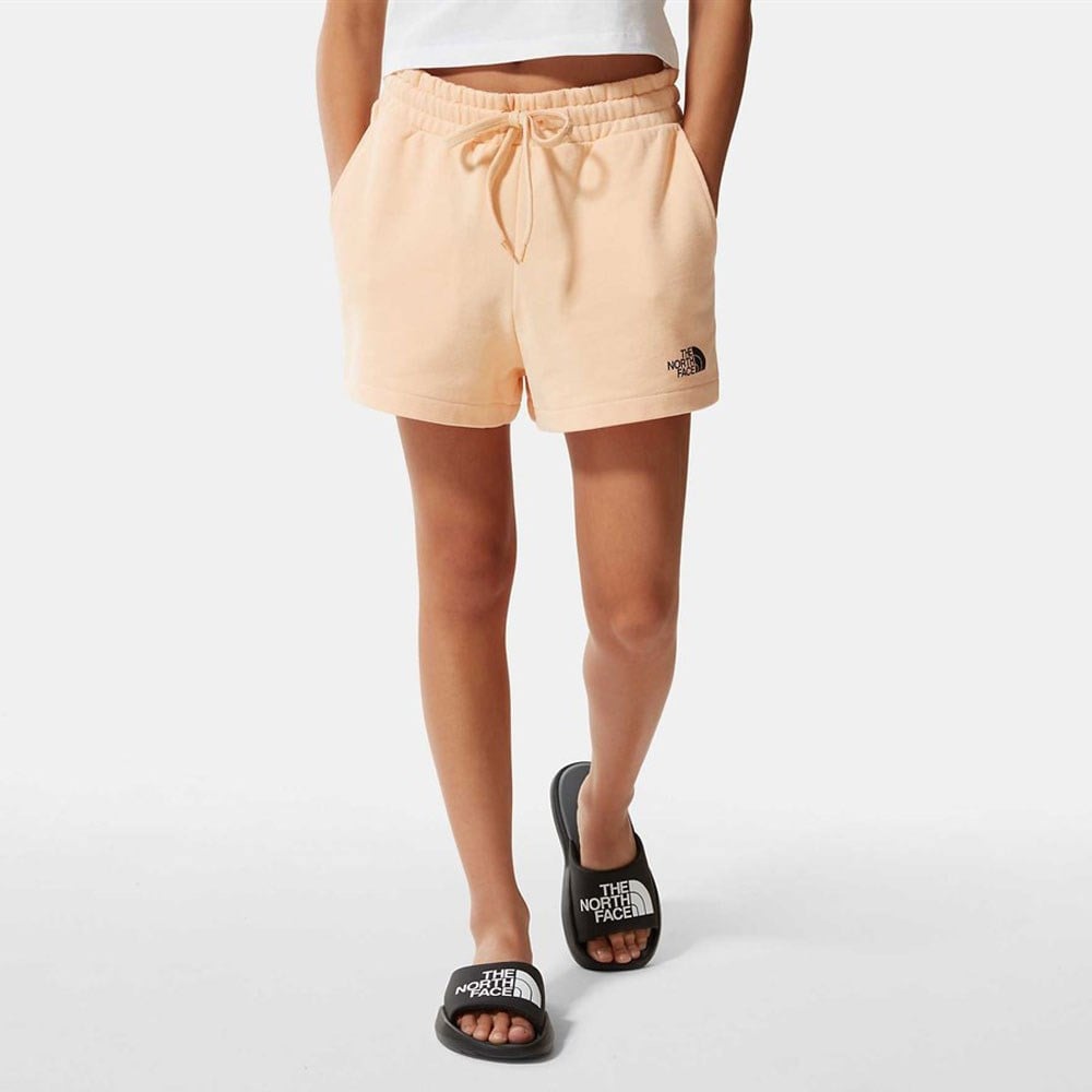 The North Face W Logowear Short Kadın Şort NF0A7QZX3R81