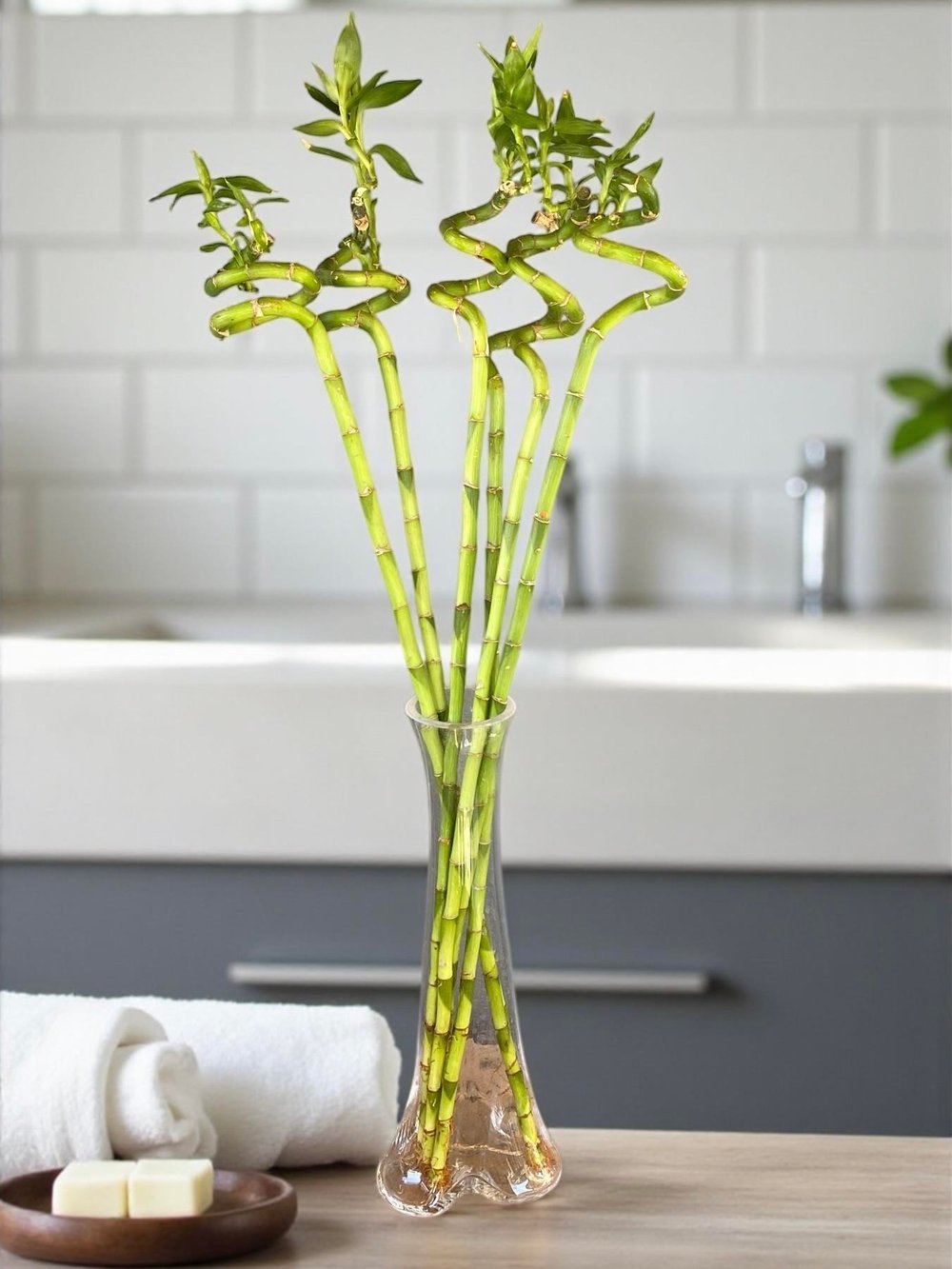 Dekoratif Cam Vazo Fil Ayağı