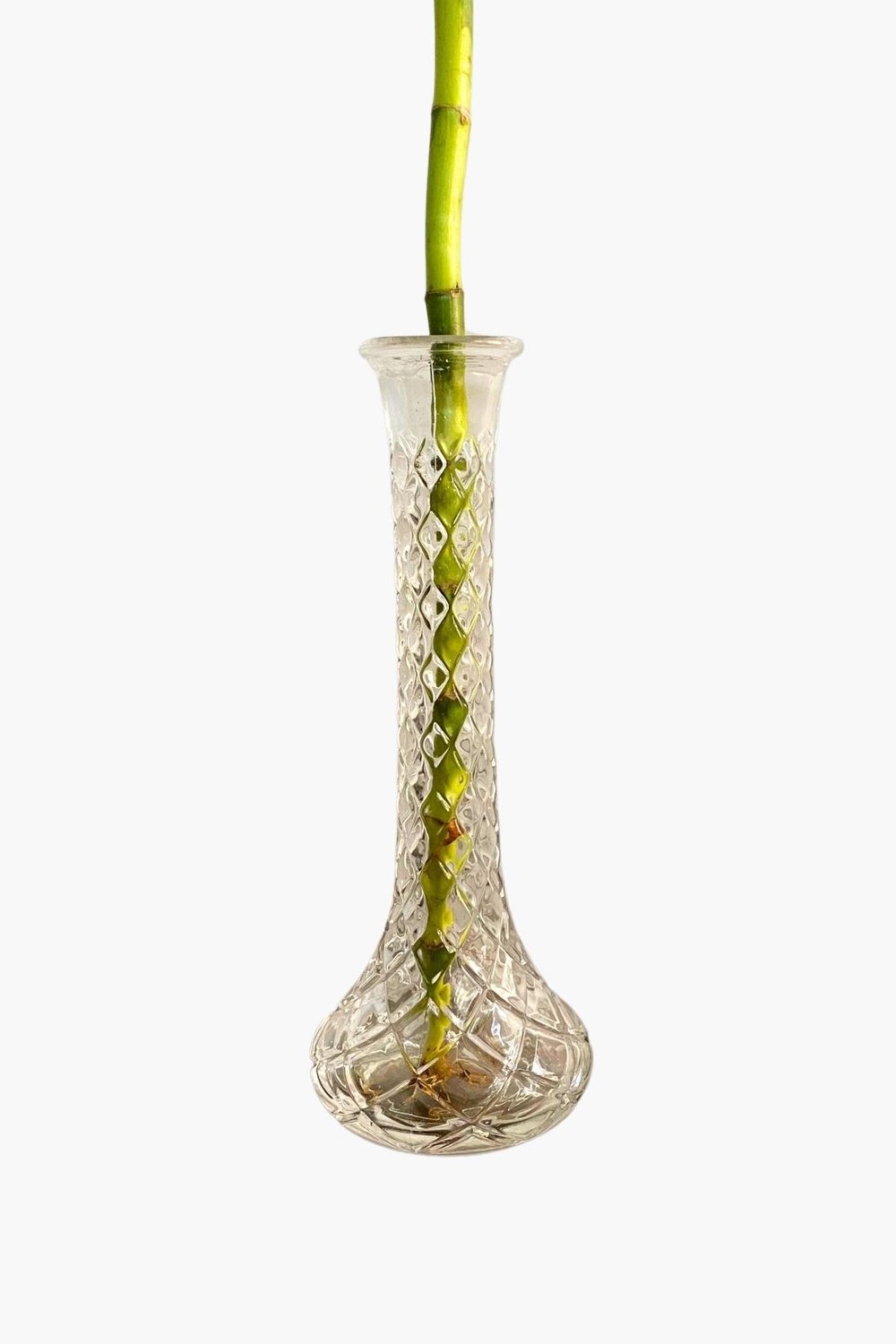 Dekoratif Kristal Cam Vazo-Tekli Şans Bambusu İçin Vazo