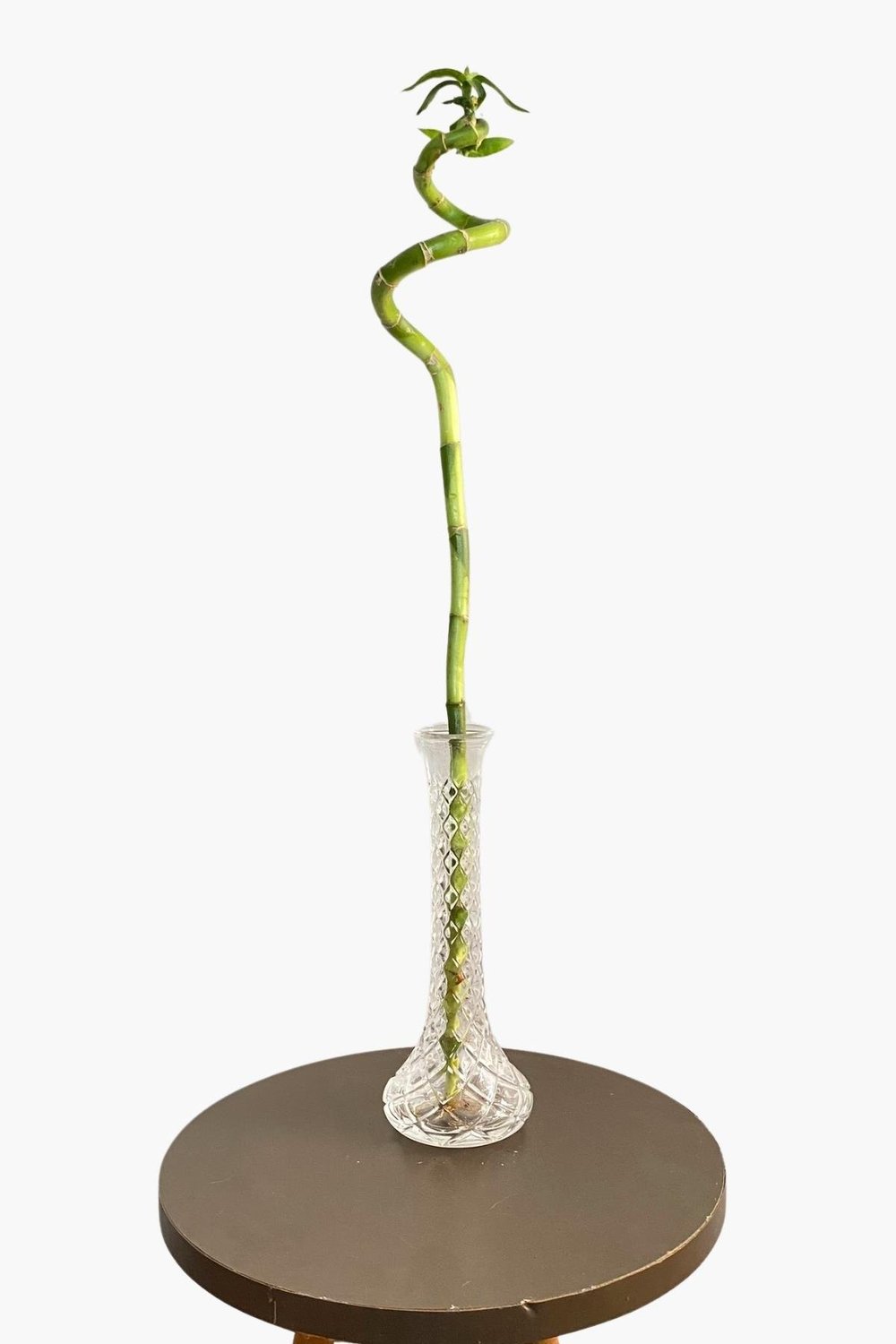 Dekoratif Kristal Cam Vazo-Tekli Şans Bambusu İçin Vazo