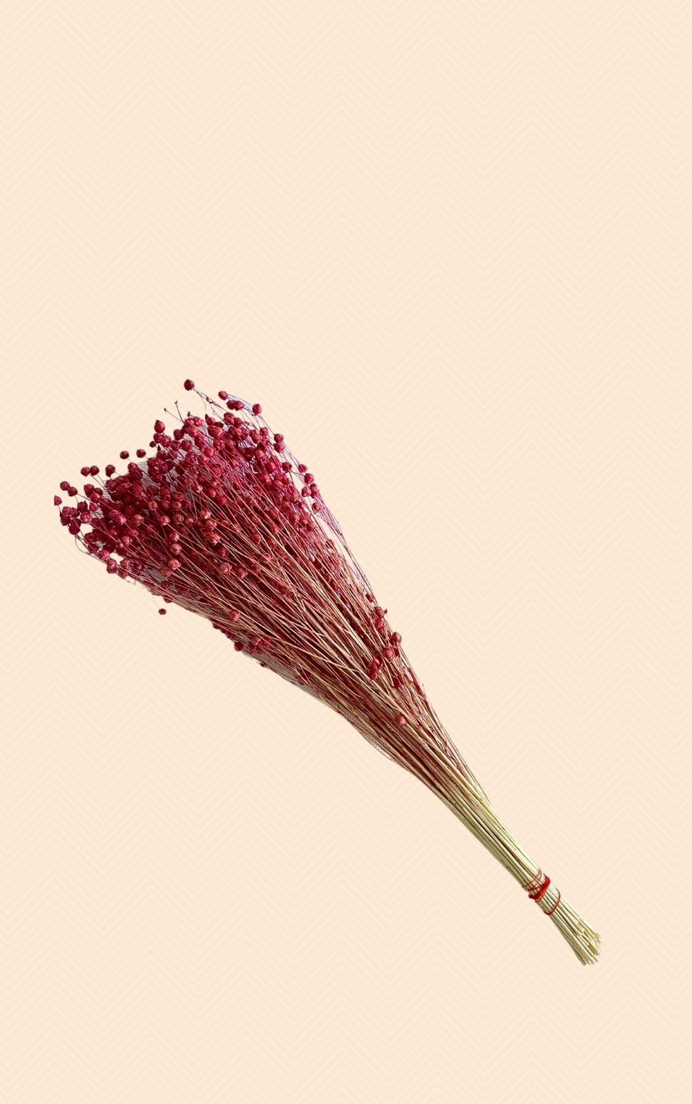 Dekoratif Şoklanmış Keten Tohumu (Luna) Kuru Çiçek