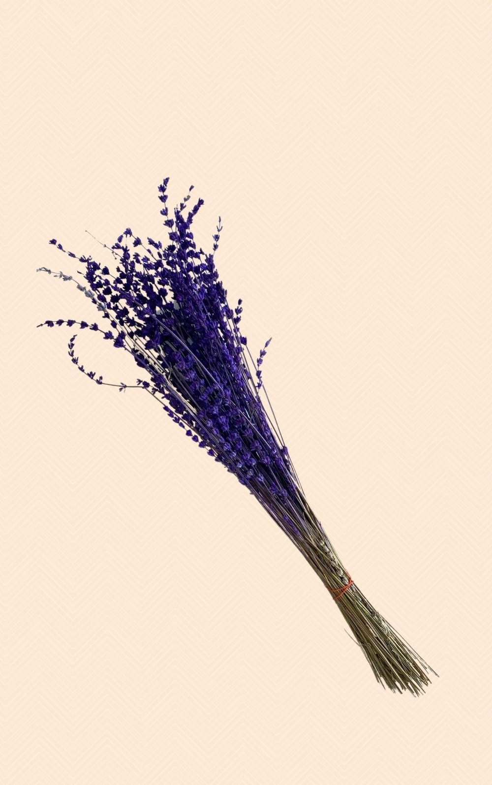 Dekoratif Şoklanmış Lavanta Kuru Çiçek