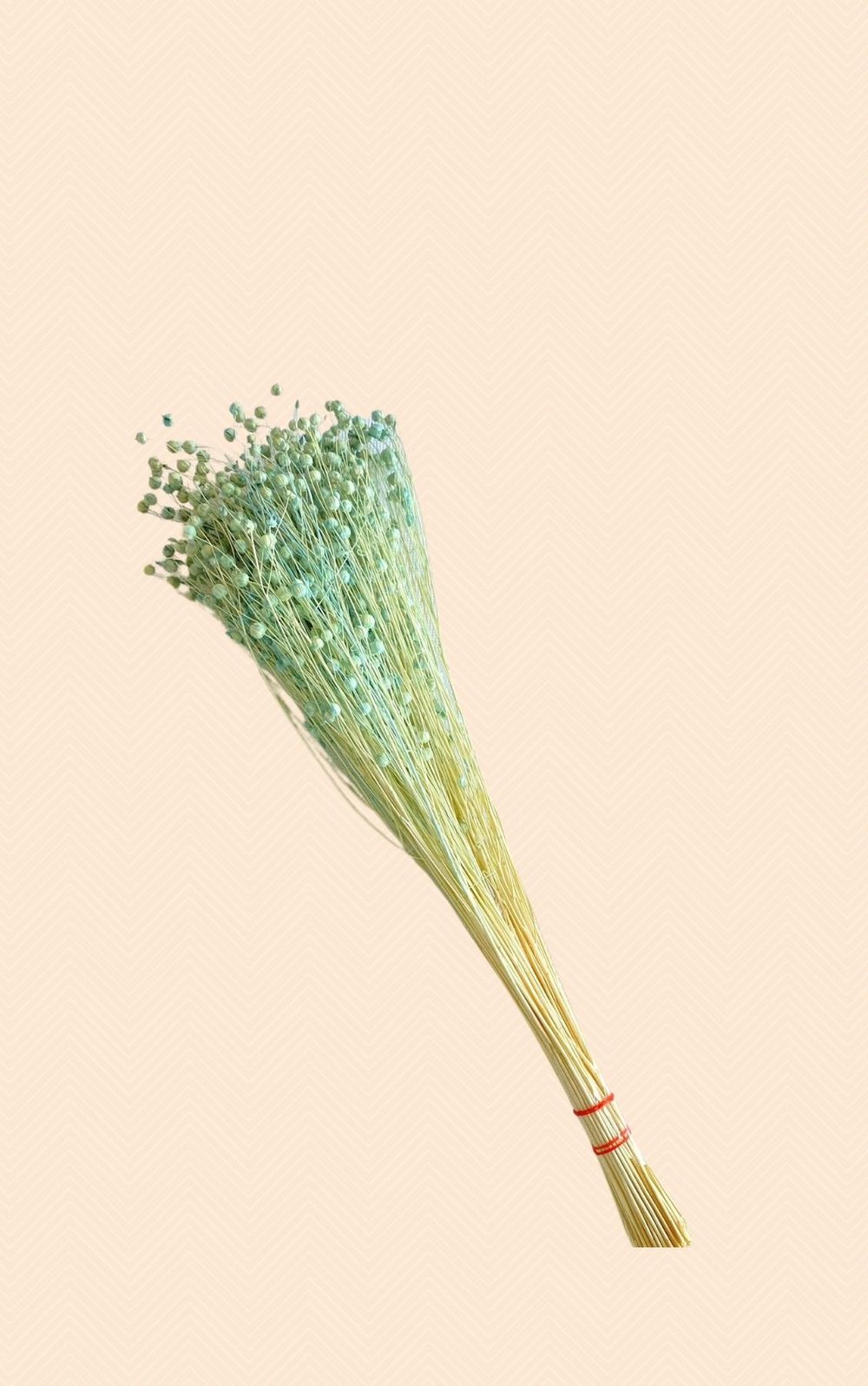 Dekoratif Şoklanmış Yeşil Keten Tohumu (Luna) Kuru Çiçek