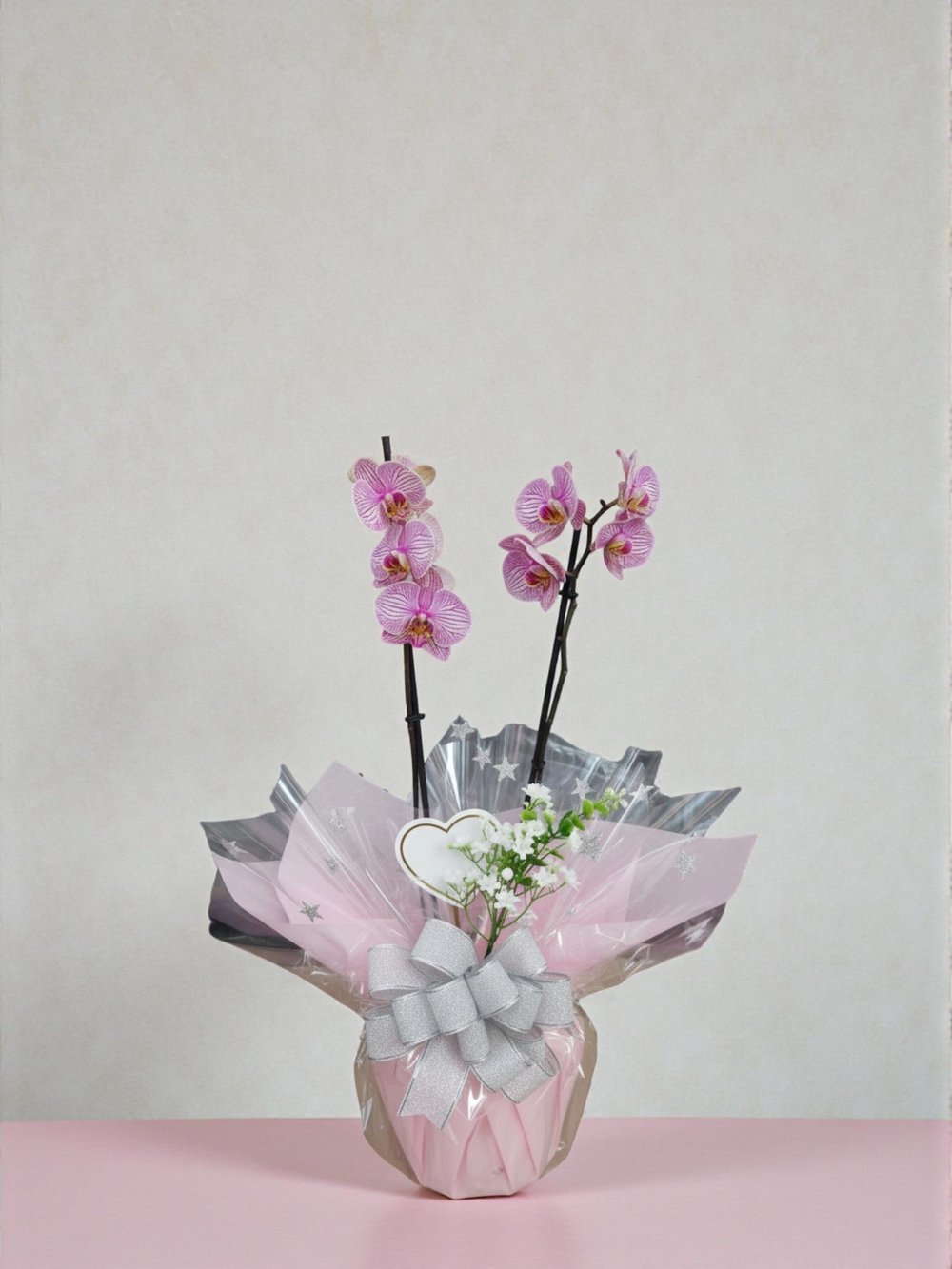  🌿 Mor Orkide İthal – Çift Dal (Premium Seri) 🌿