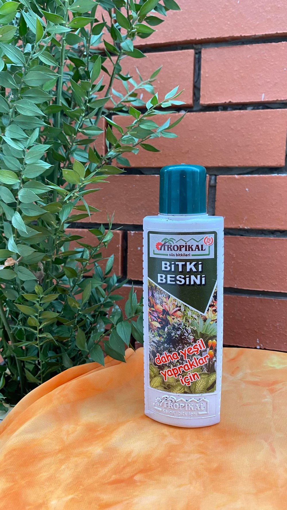 Tropikal Tüm Bitkiler İçin Genel Bitki Besini