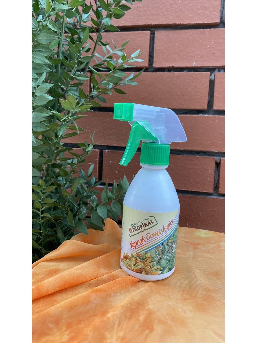 Tropikal Tüm Bitkiler İçin Yaprak Temizleyici