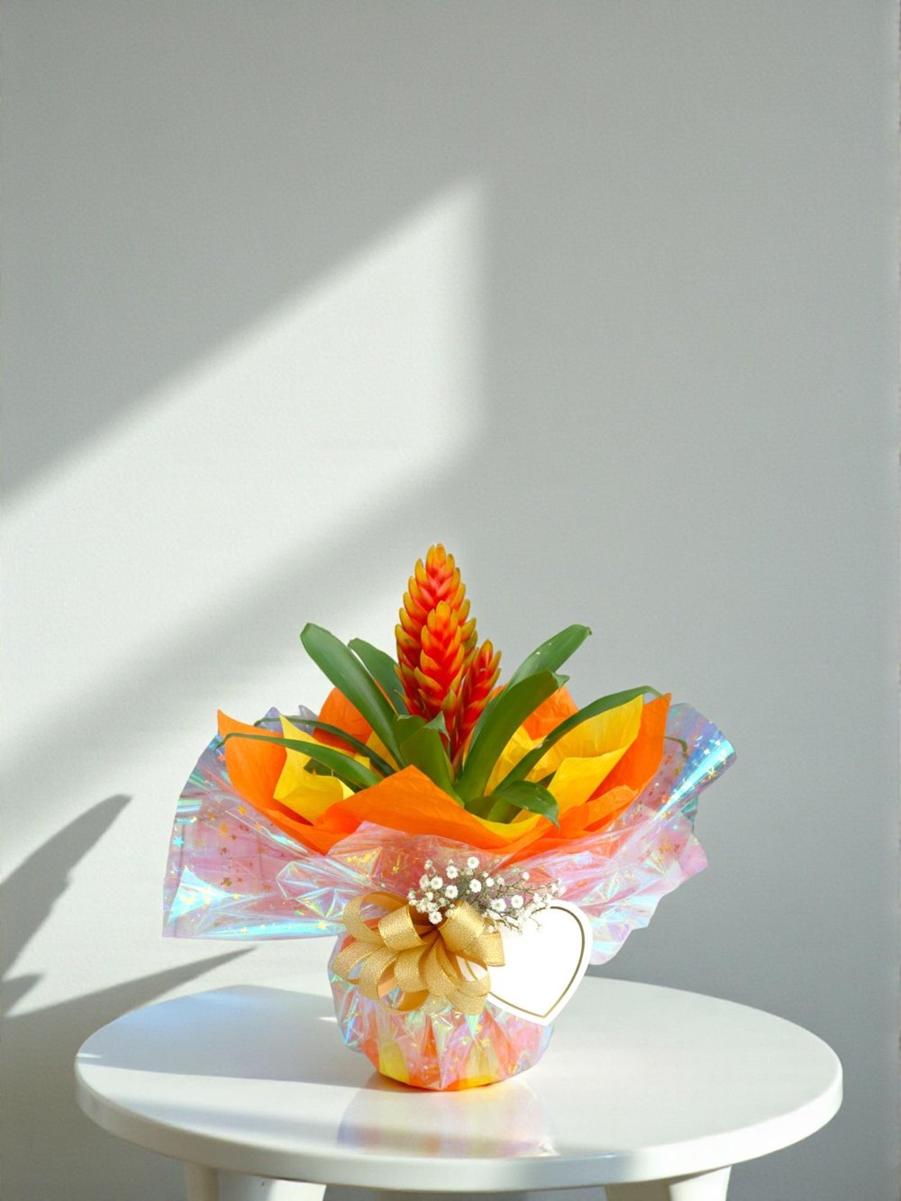 Turuncu Alev Kılıcı – Vriesea Asteria (Vrezya) - Egzotik Seri