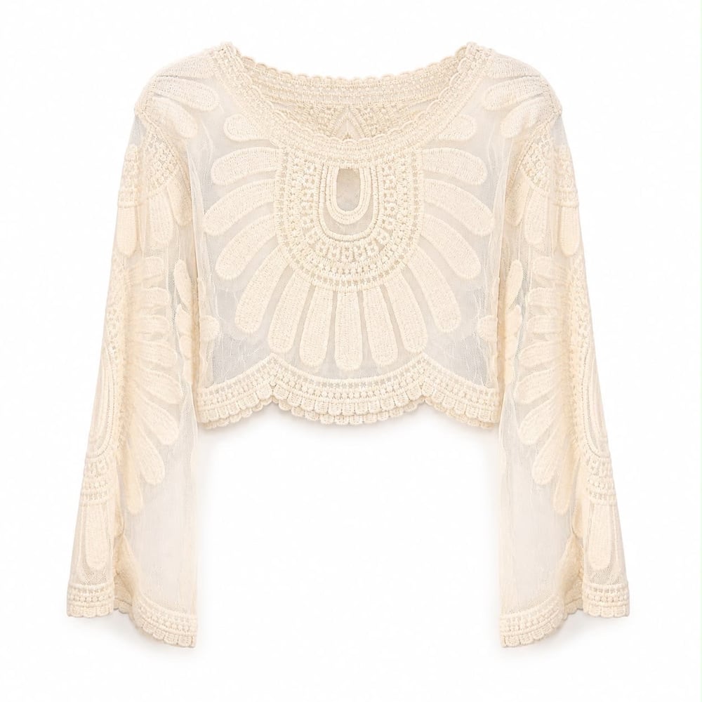 EMBROIDERED SHEER CROP TOP