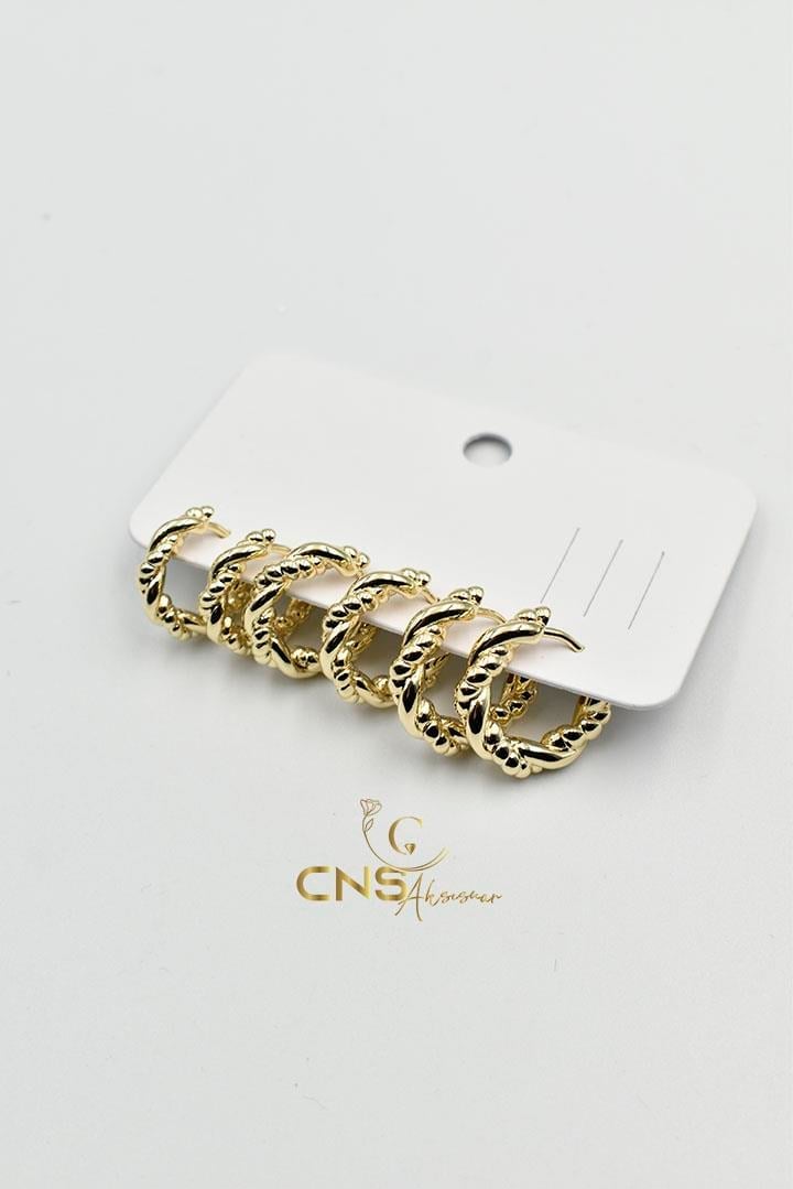 14K Vip Burgu 6'lı Set Küpe
