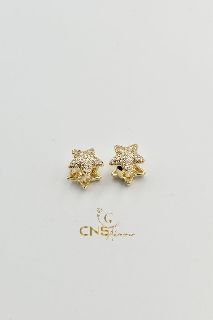 14K Vip Yıldız Küpe