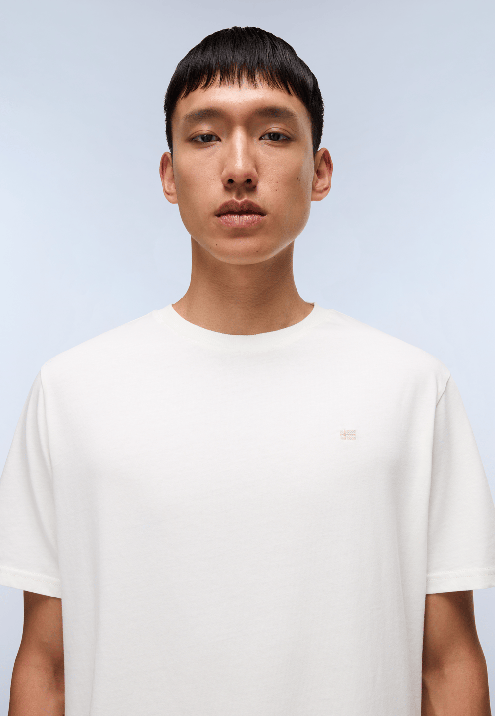 Napapijri S-Nedles SS Erkek T-Shirt