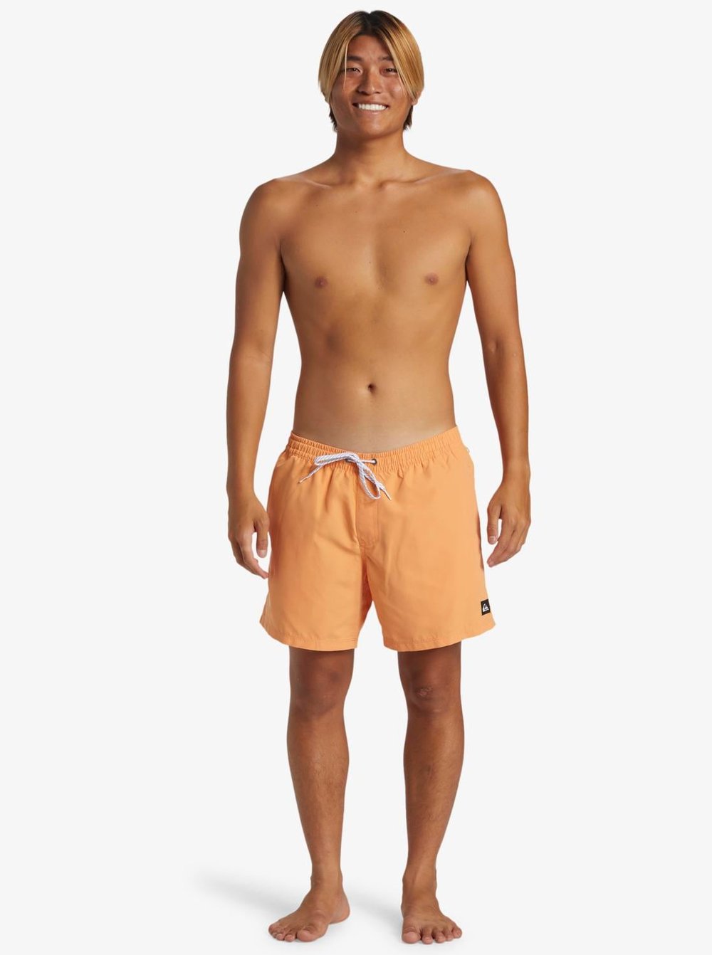 Quiksilver Everyday Solid Volley 15 Erkek Deniz Şortu