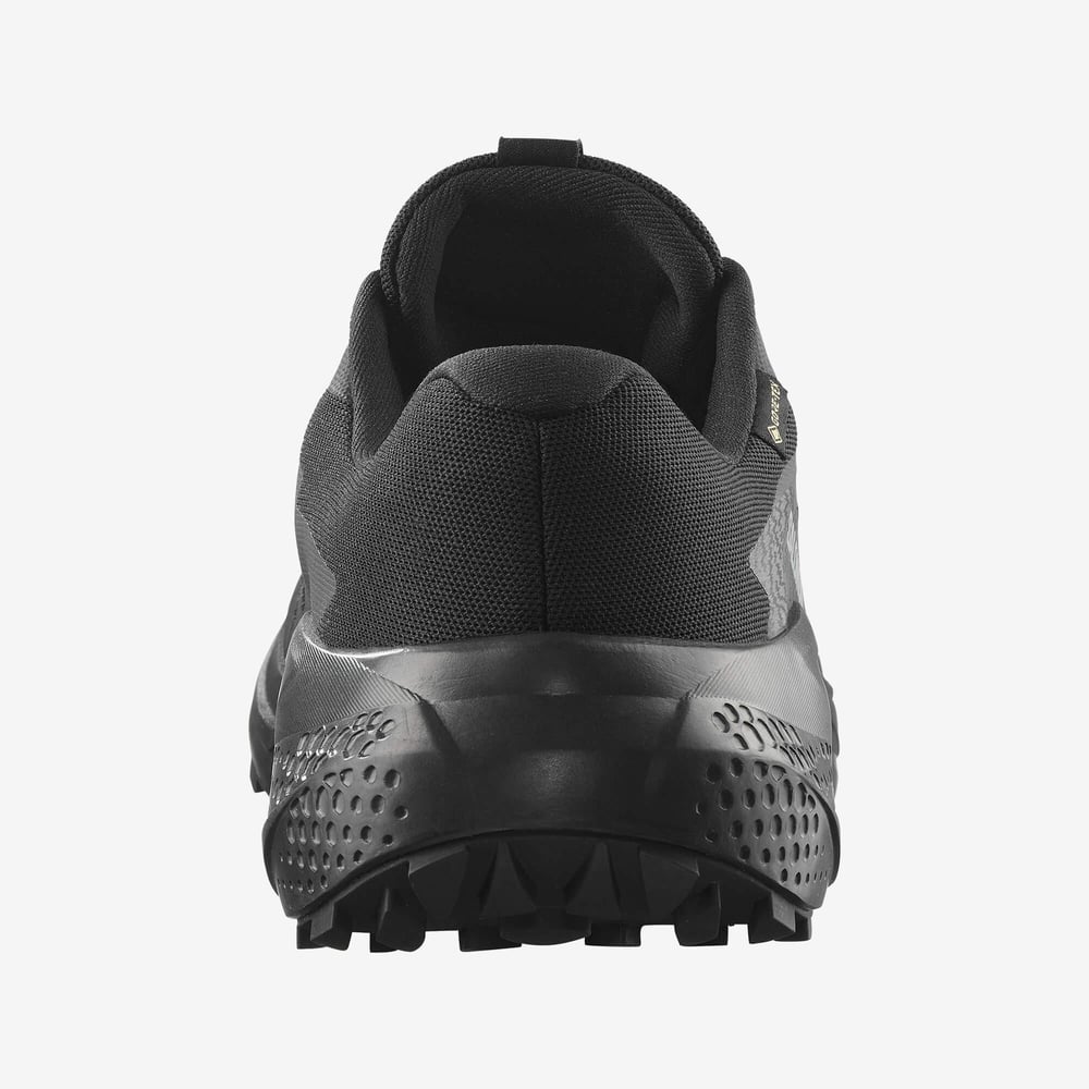 Salomon Alphaglide Gore-Tex Erkek Koşu Ayakkabısı