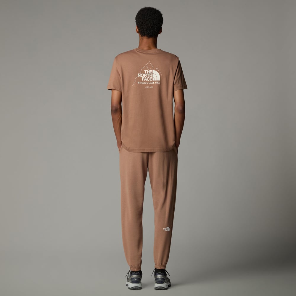 The North Face M Biner Graphic 4 Tee Erkek T-Shirt