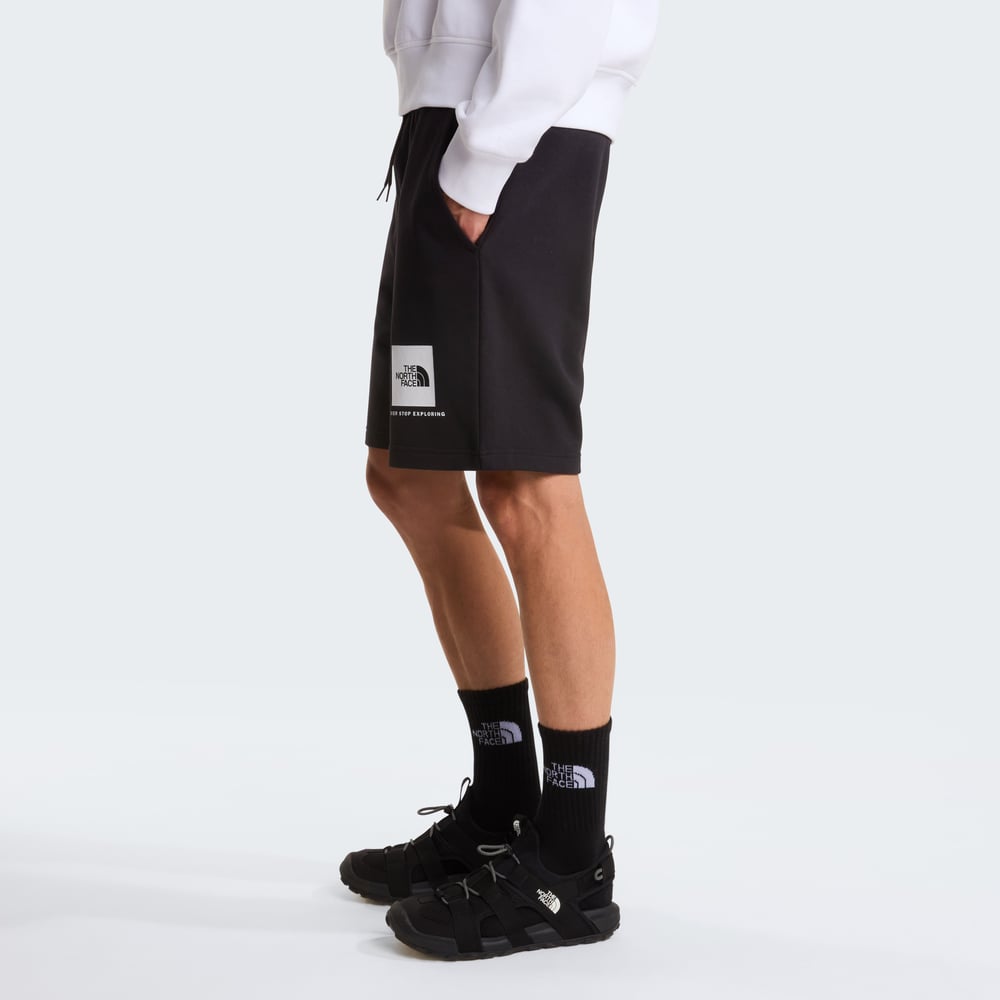The North Face M Box Nse Light Regular Shorts Erkek Şort