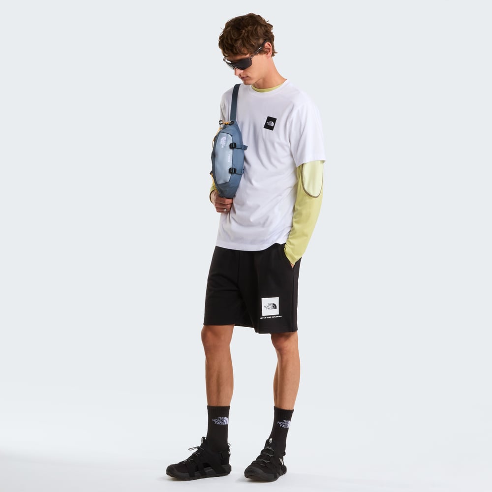 The North Face M Evolution Box Half Dome Regular Short Erkek T-Shirt