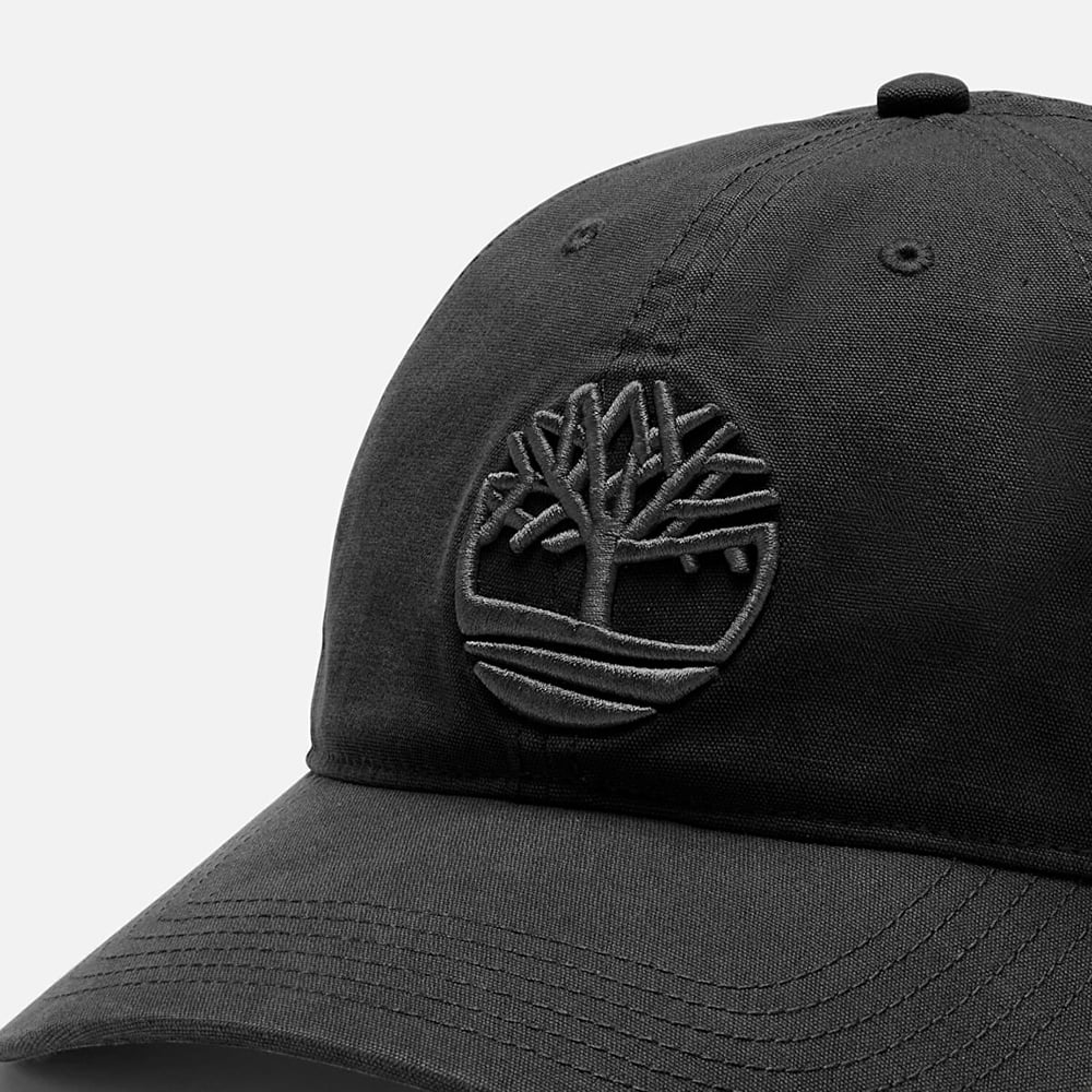 Timberland Soundview Soundview Embroidered Baseball Erkek Şapka