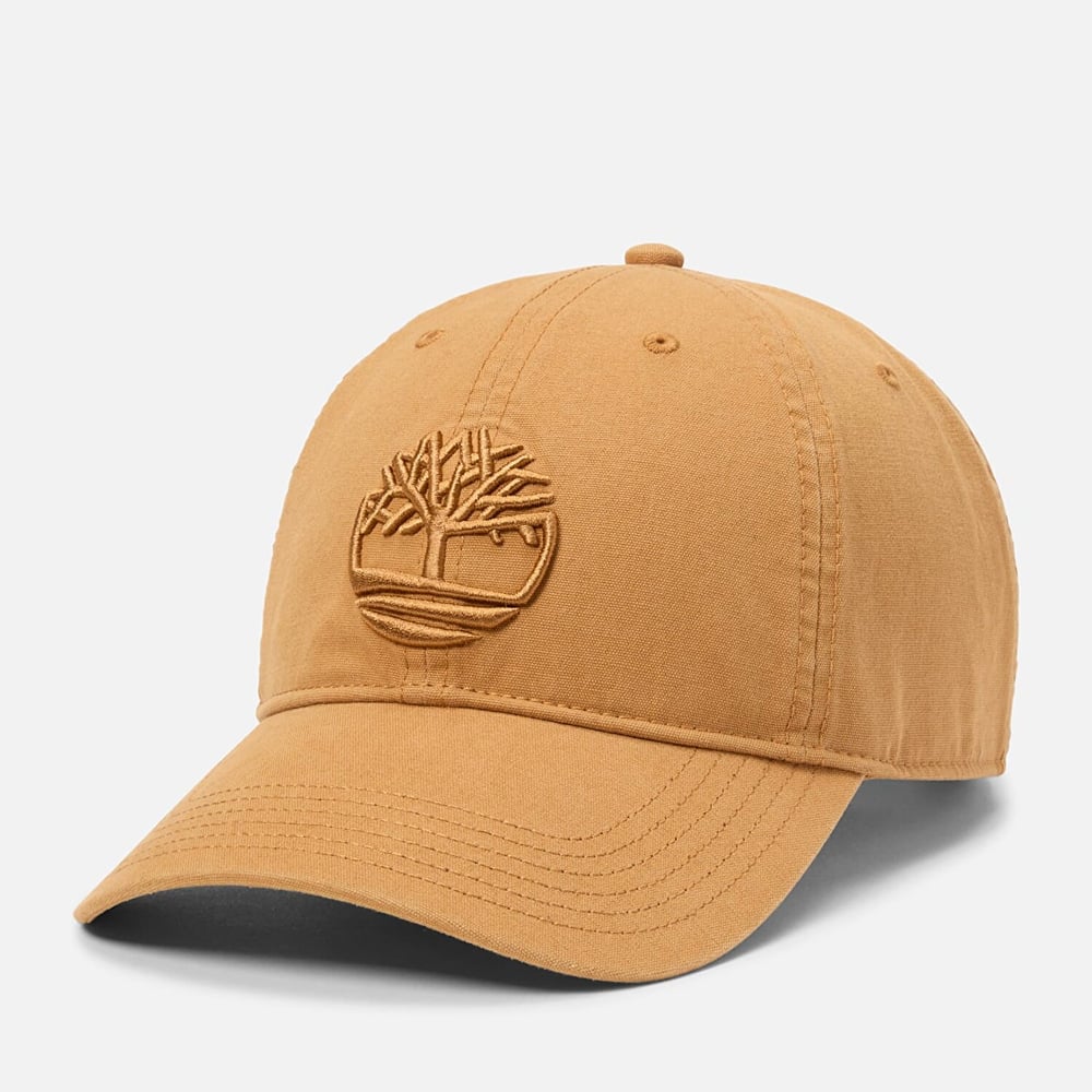 Timberland Soundview Soundview Embroidered Baseball Erkek Şapka
