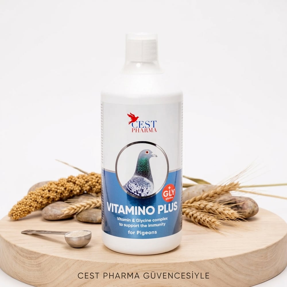 Cest Pharma Vitamino Plus 1000 ML | Güvercin Multivitamin