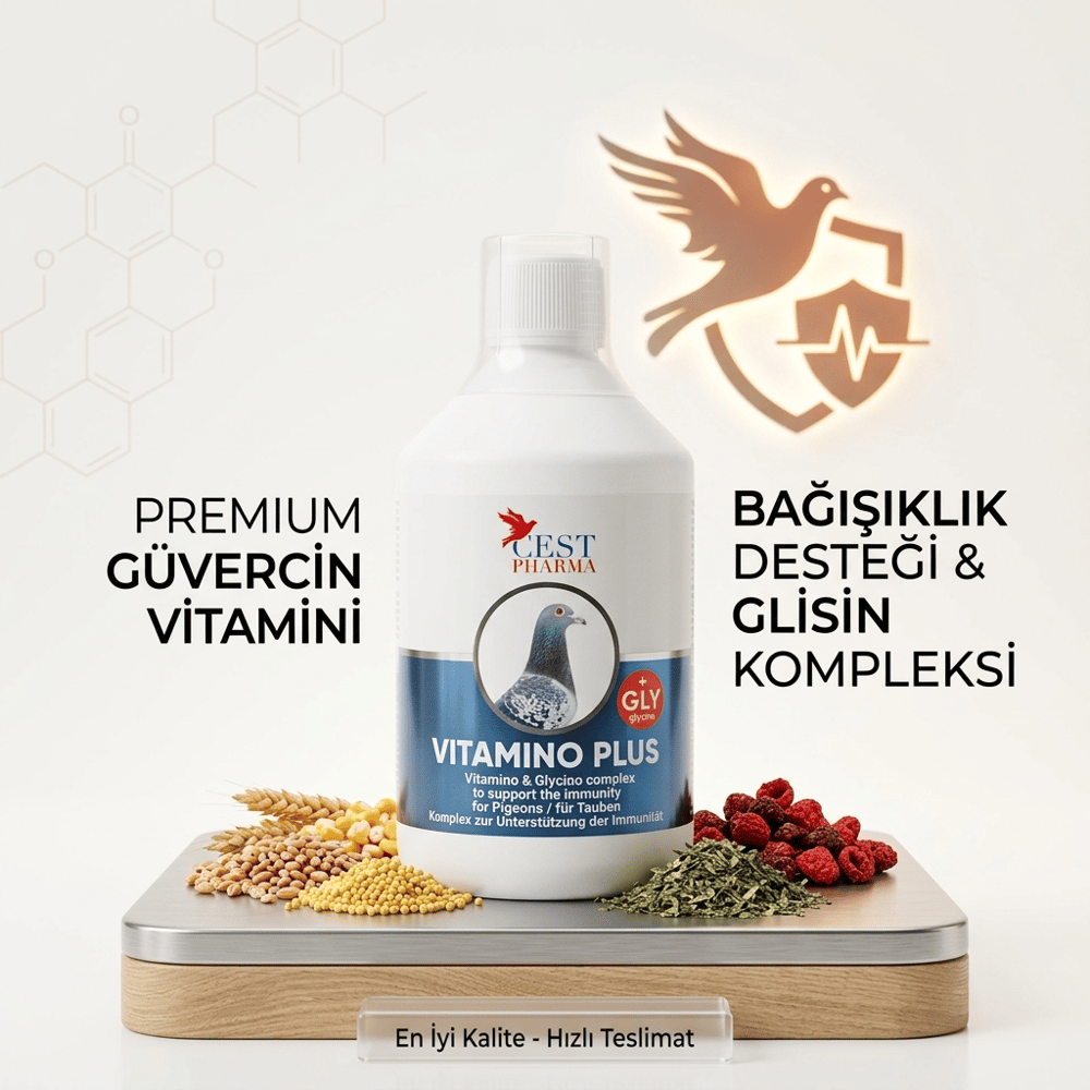 Cest Pharma Vitamino Plus 500 ML | Güvercin Multivitamin