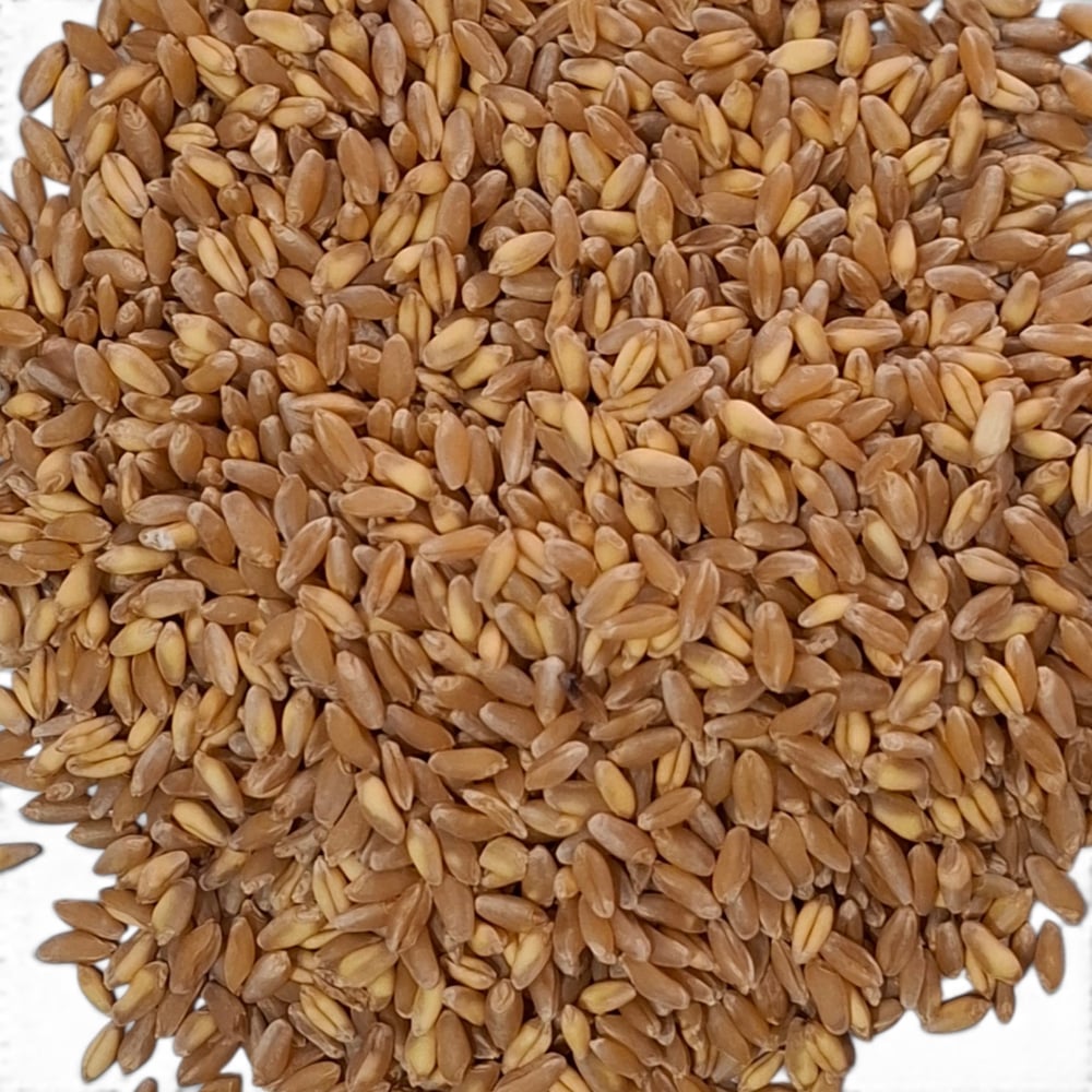 Elenmiş Buğday 25Kg
