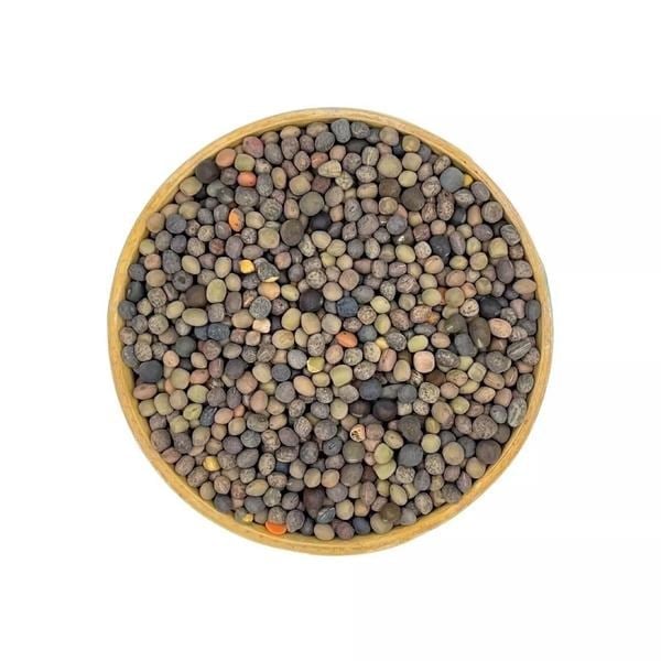 Fig Tohumu-5Kg