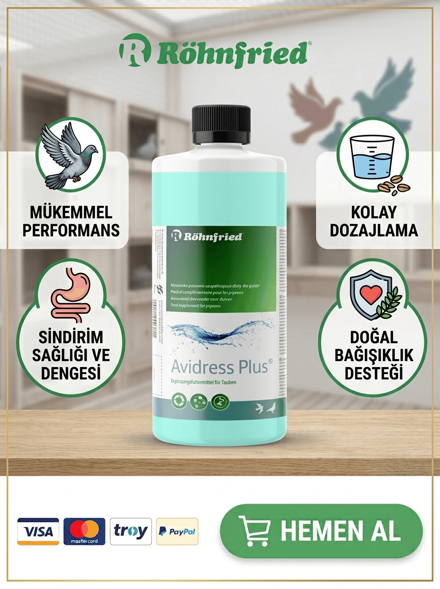 Röhnfried Avidress Plus Metabolizma İyileştiricisi 1000Ml