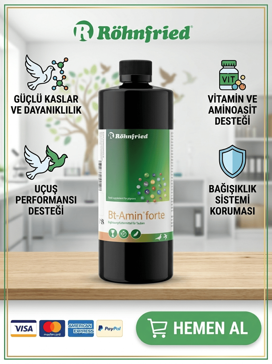 Röhnfried Bt Amin Forte Amino Asit B Vitamini Ve Elektrolit  1Lt