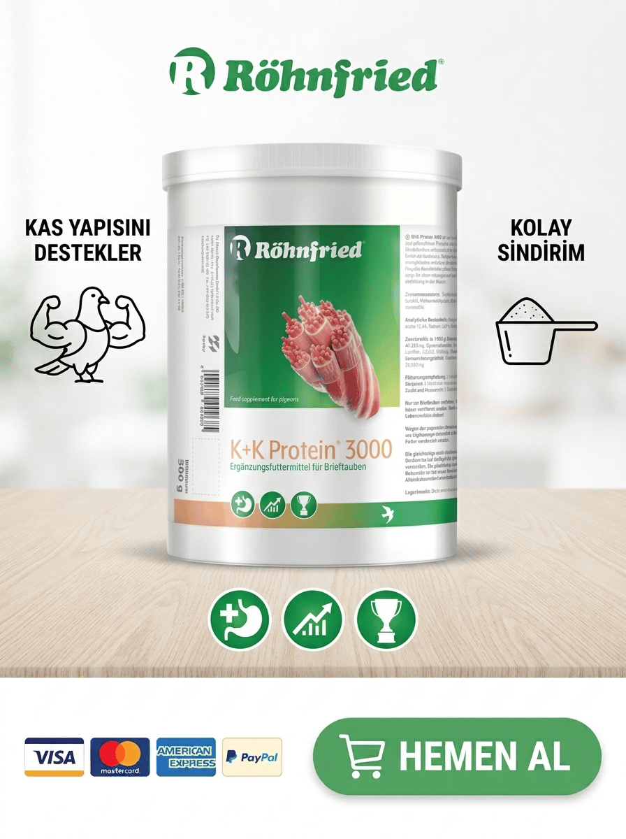 Röhnfried K+K Protein 3000 Hayvansal Protein Katkısı 500Gr
