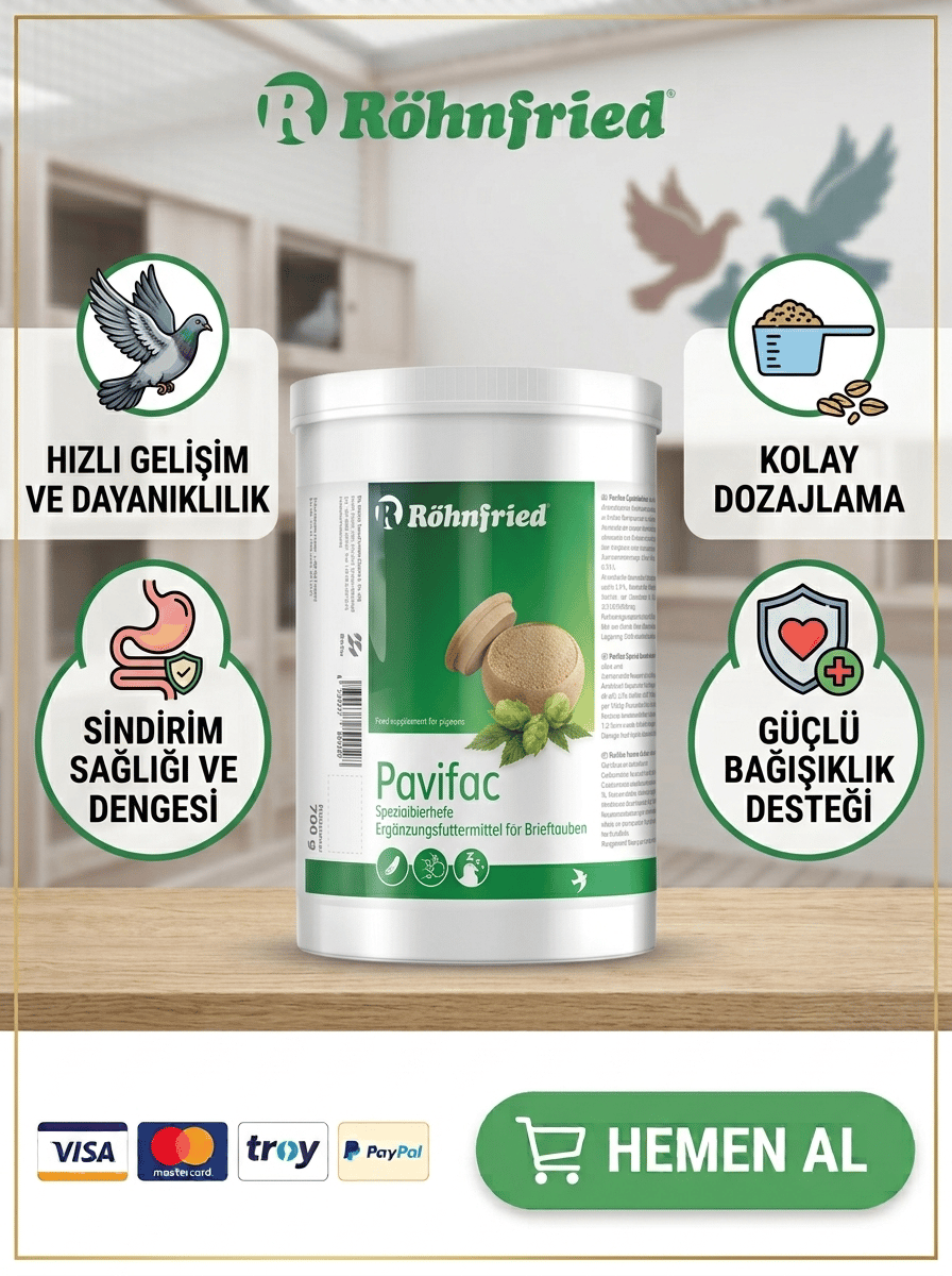 Röhnfried Pavifac Polenli Bira Mayası 700 Gr