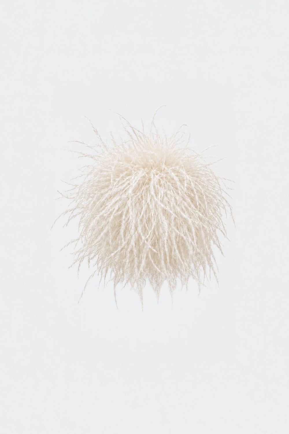 Ostrich Brooch