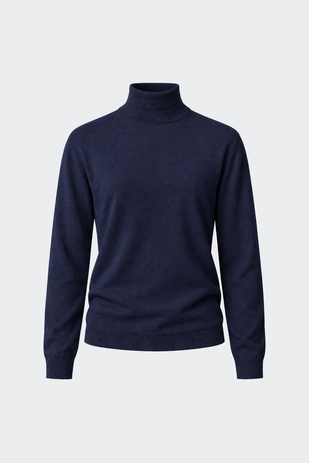 Turtleneck Knit Sweater