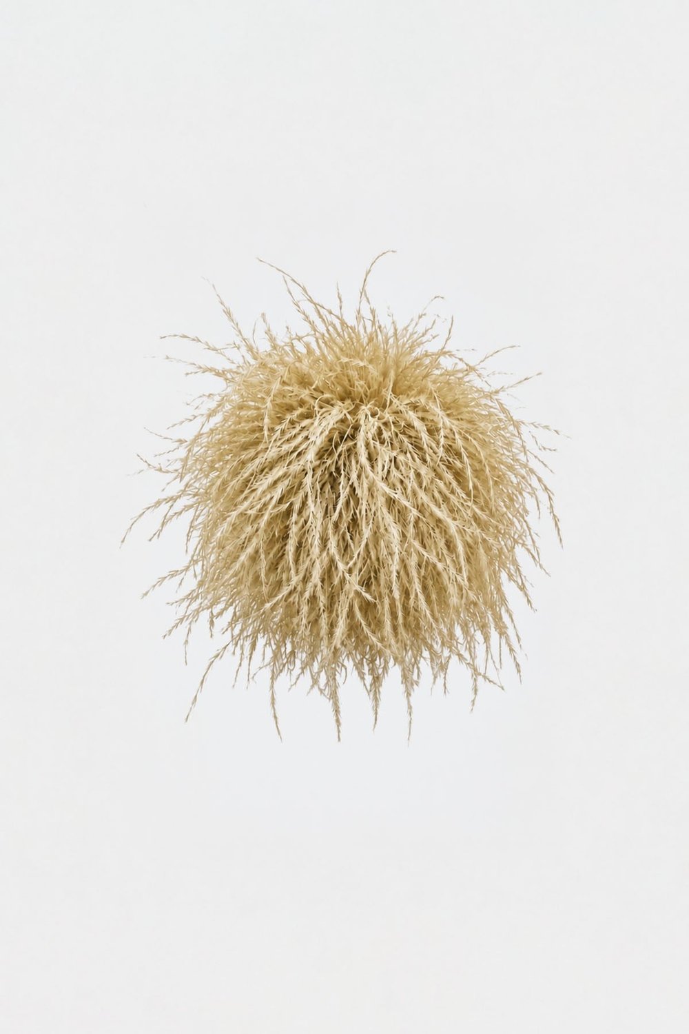 Ostrich Brooch
