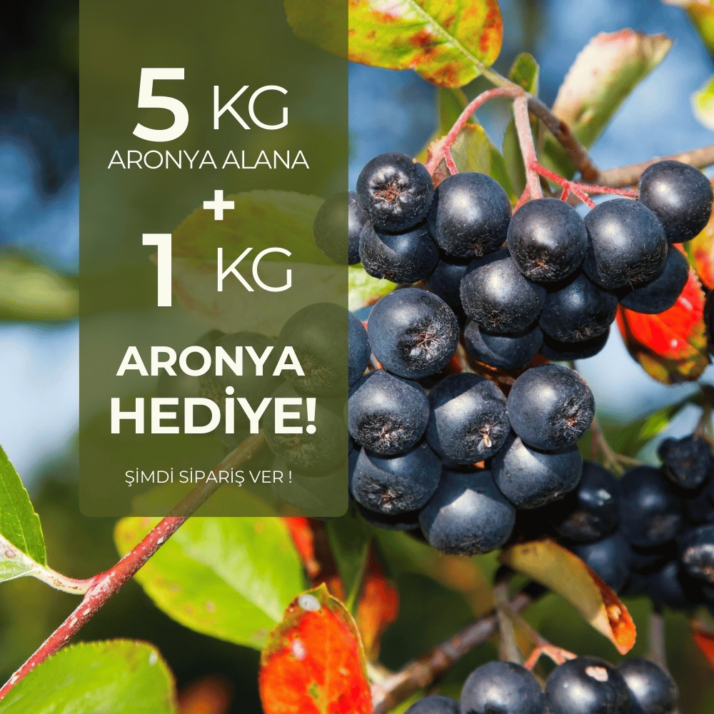 5 kg Taze Aronya (Organik Sertifikalı) Alana 1 kg HediyeYaban Mersini ve Orman Meyveleri