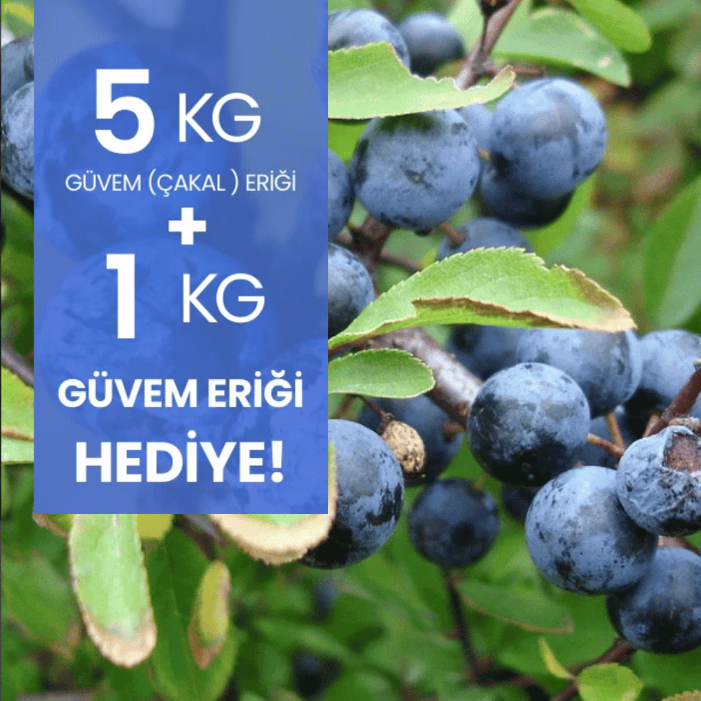 5 kg Güvem Eriği Alana 1 kg HediyeMeyve Sebze