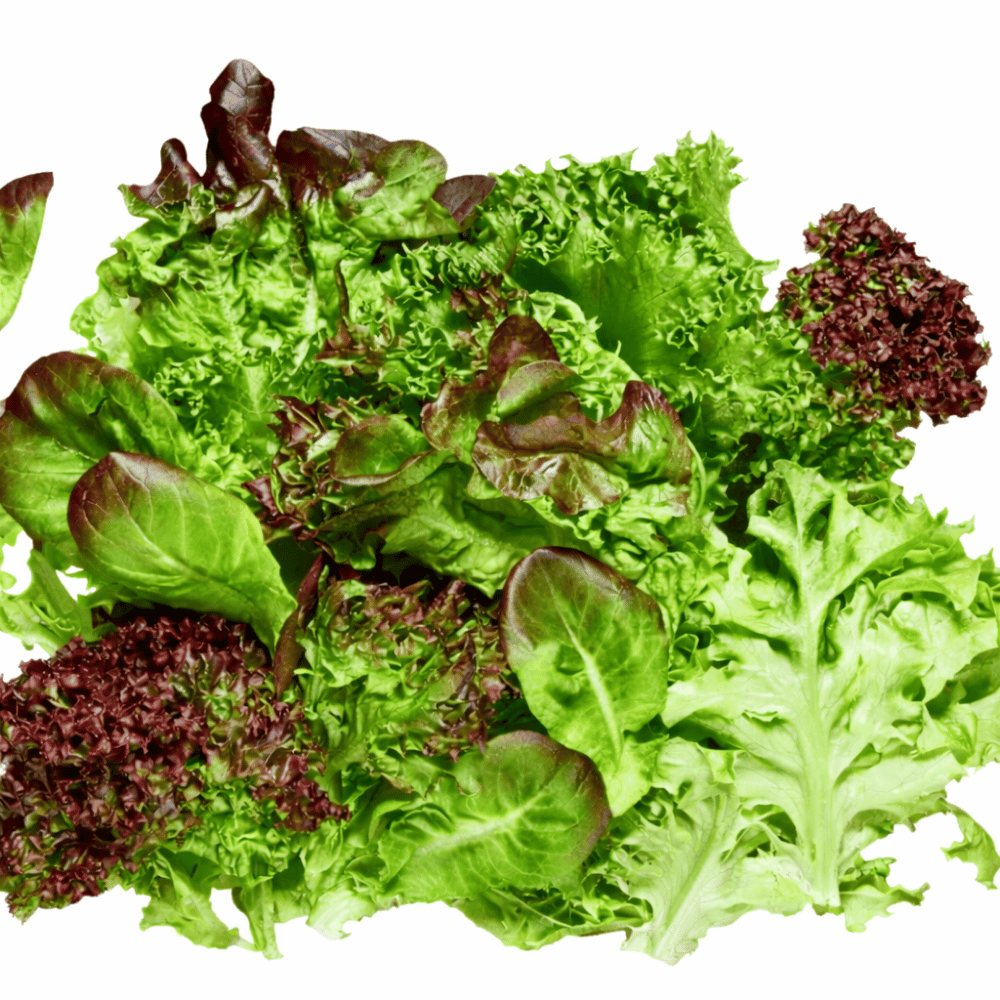 Akdeniz Salata - 150G PaketYeşillikler