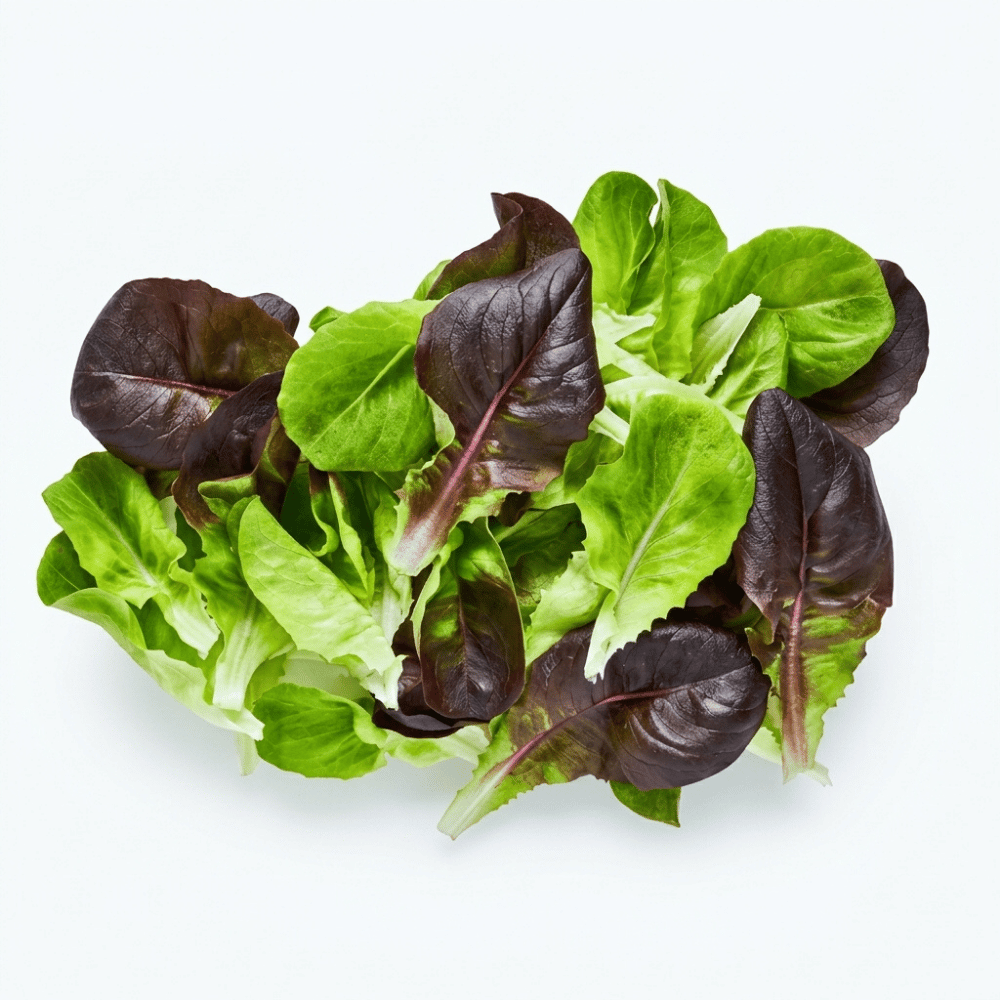 Gül Marul 100gr PaketYeşillikler