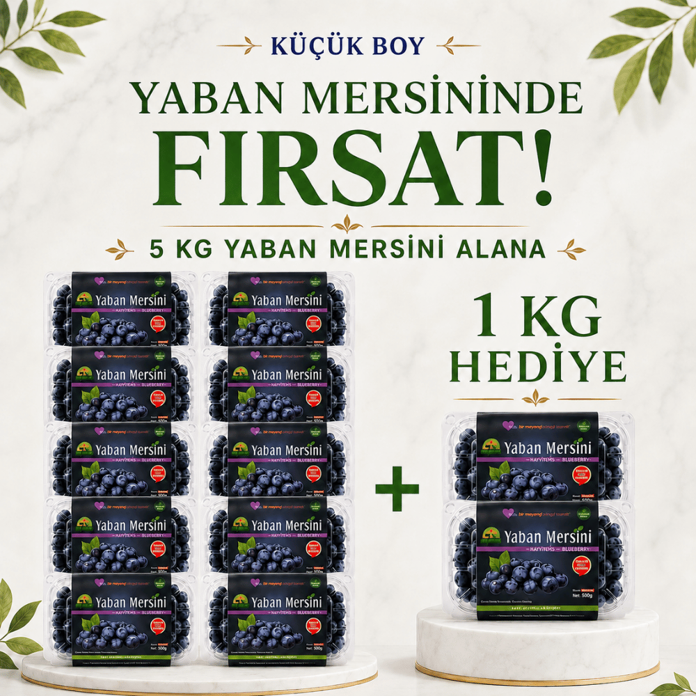 Küçük Boy Yaban Mersini 5 Kg Alana 1 Kg HediyeYaban Mersini ve Orman Meyveleri