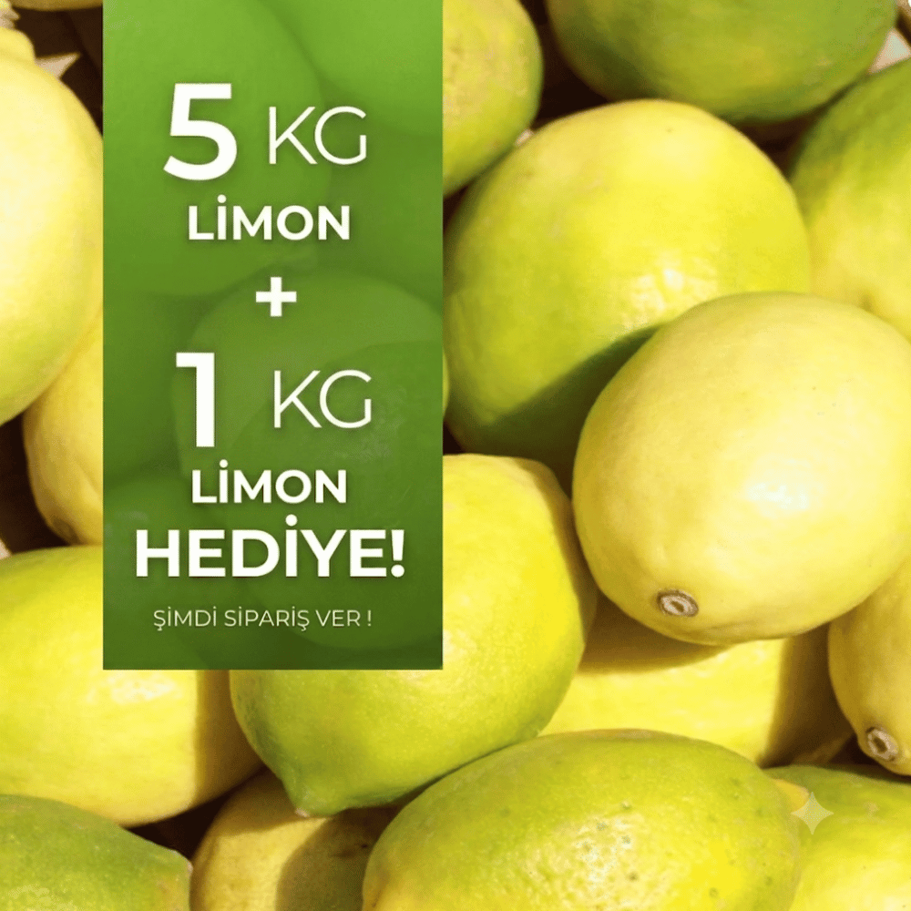 Limon 5 kg Alana 1 kg HediyeMevsim Meyveleri