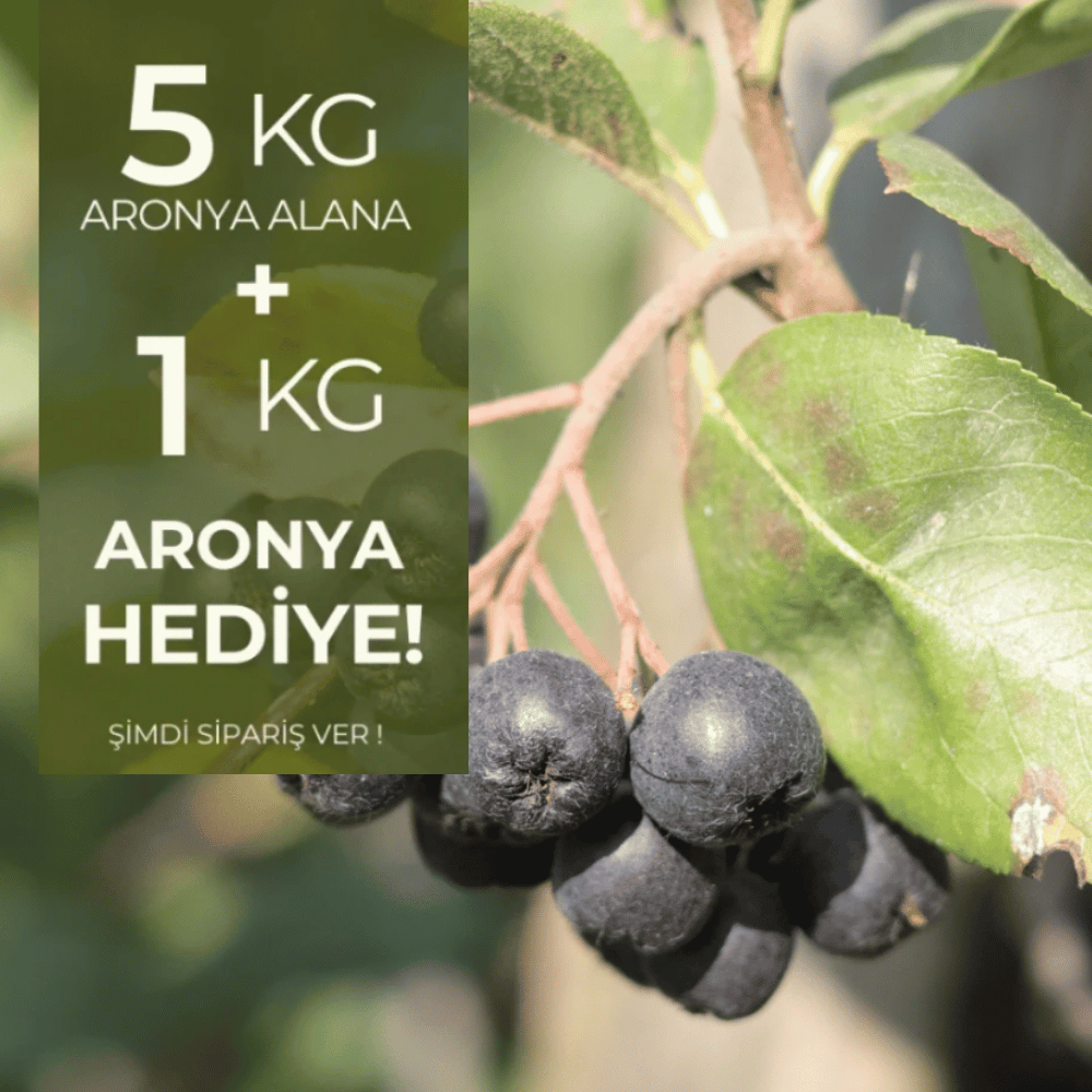 Taze Aronya (Coğrafi İşaretli) 5 kg  Alana 1 kg HediyeYaban Mersini ve Orman Meyveleri