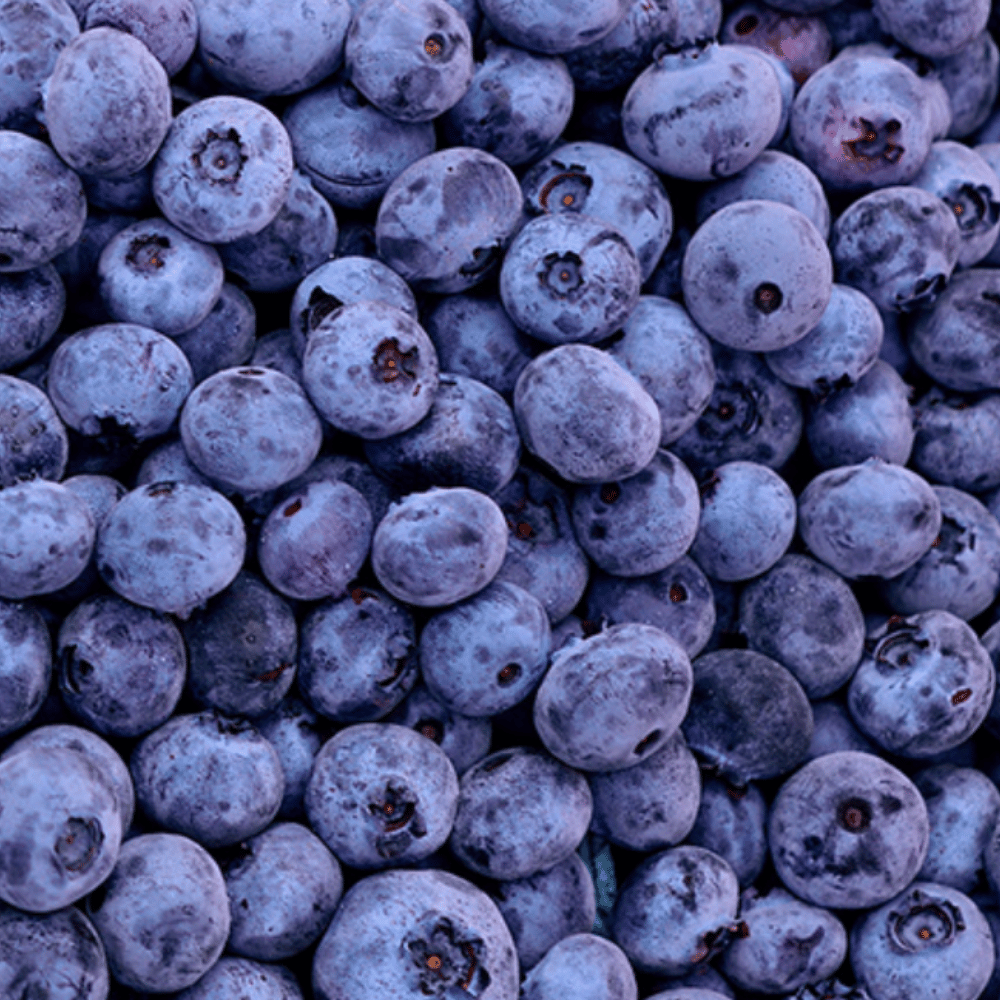 Taze Orta Boy Yaban Mersini (Blueberry)Yaban Mersini ve Orman Meyveleri