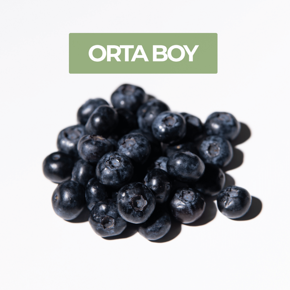 Taze Orta Boy Yaban Mersini (Blueberry)Yaban Mersini ve Orman Meyveleri