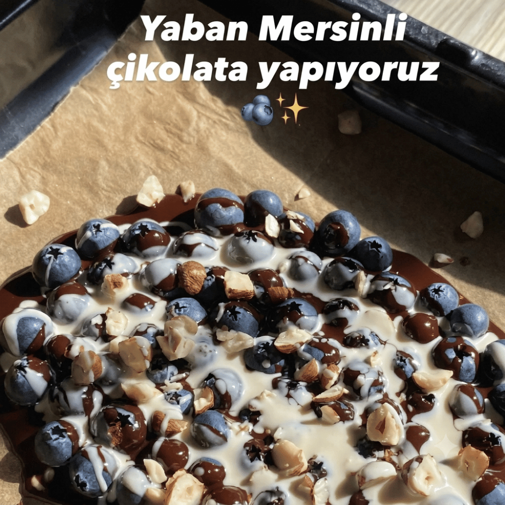 Taze Tarif Yaban Mersinli ÇikolataTaze Tarifler