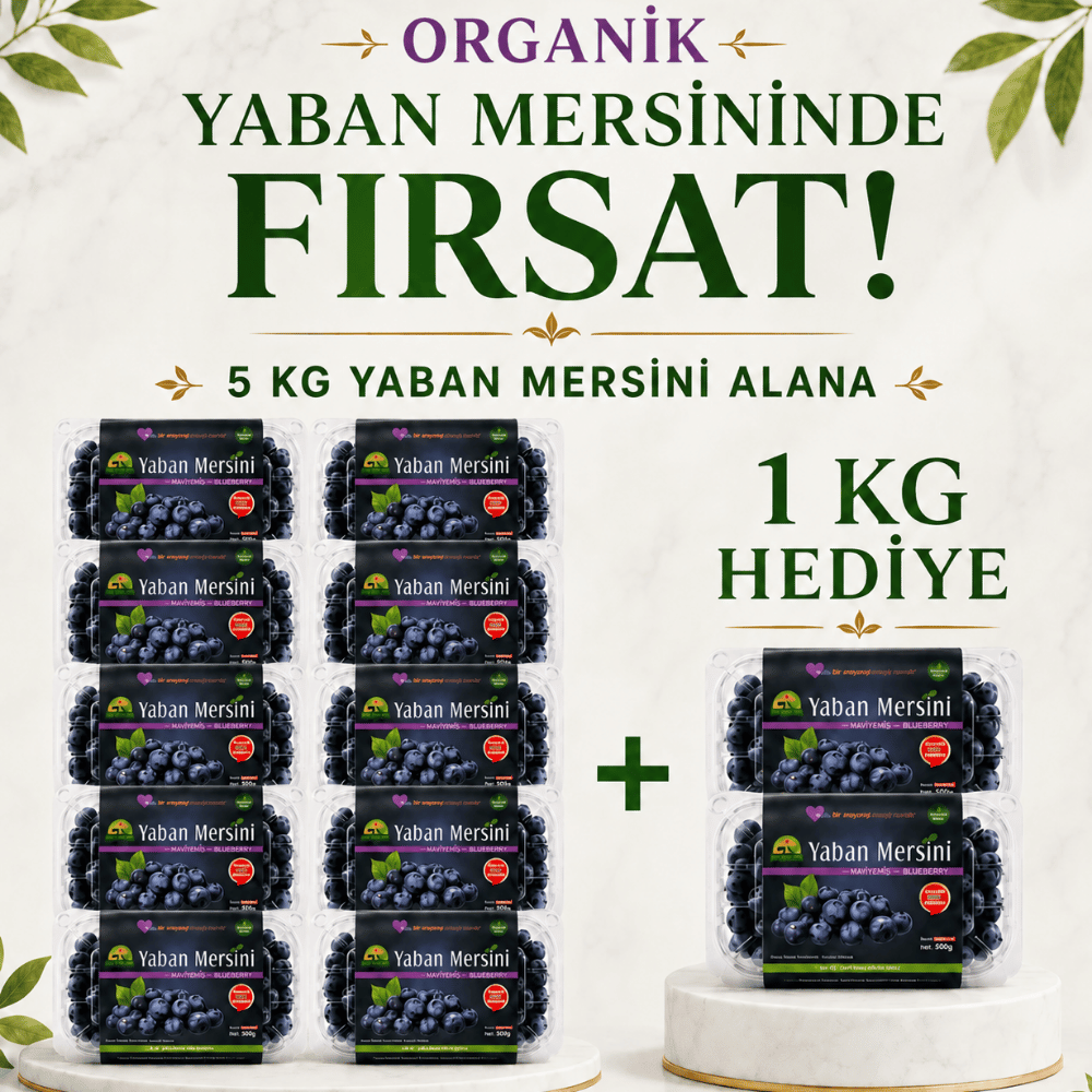 Yerli Organik Yaban Mersini 5 KG Alana 1 KG HEDİYEYaban Mersini ve Orman Meyveleri