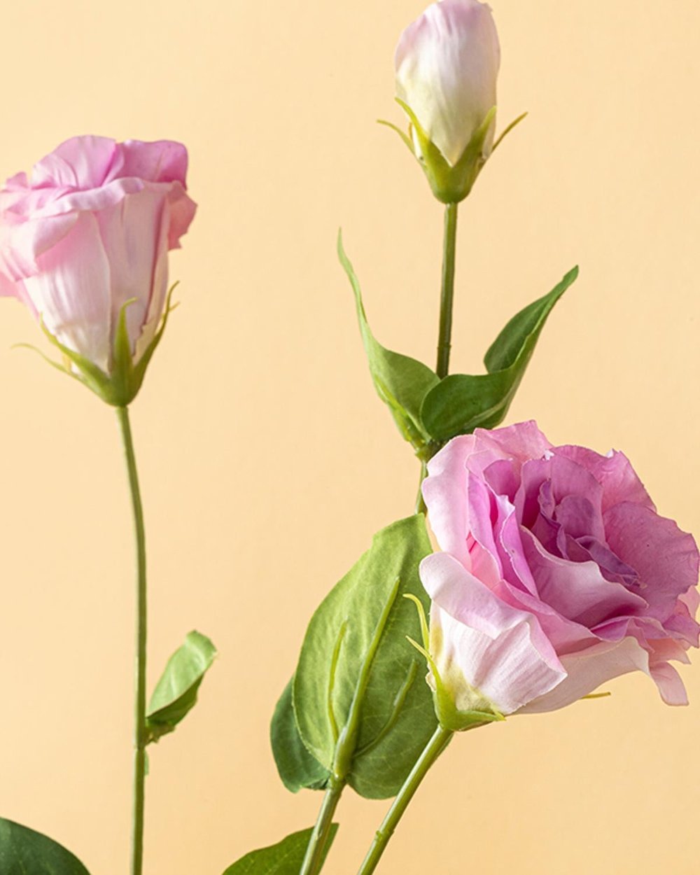 Deluxe Roses #  72 cm Ulei verde