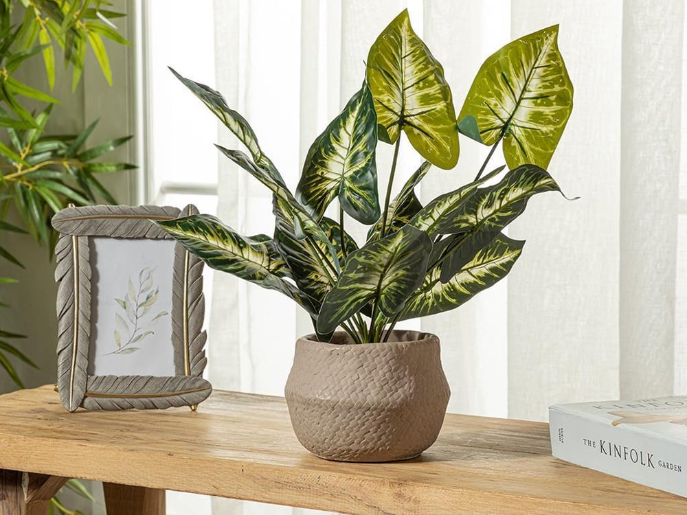 Dieffenbachia Artificial Flower with Vase 13x40 cm Green